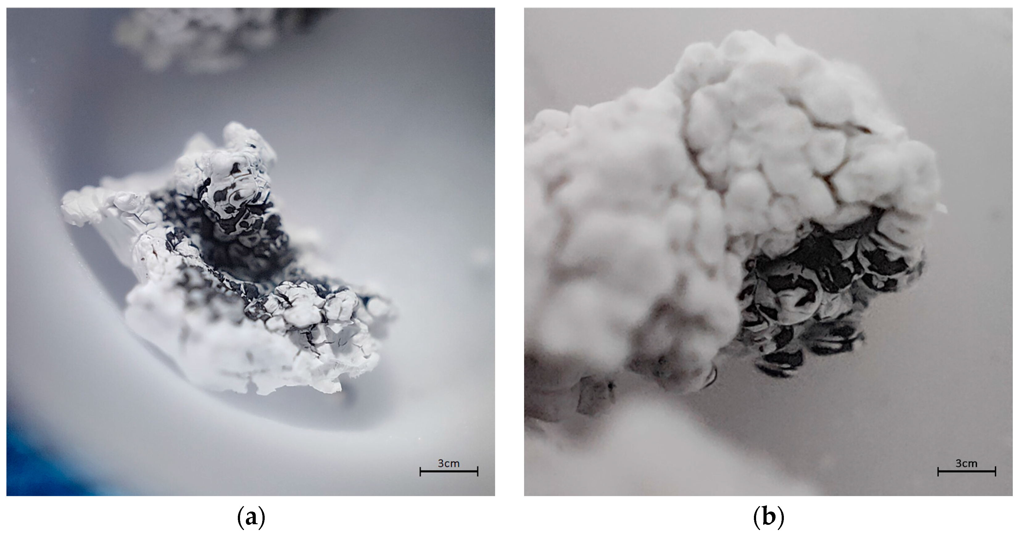 Membranes 13 00447 g010