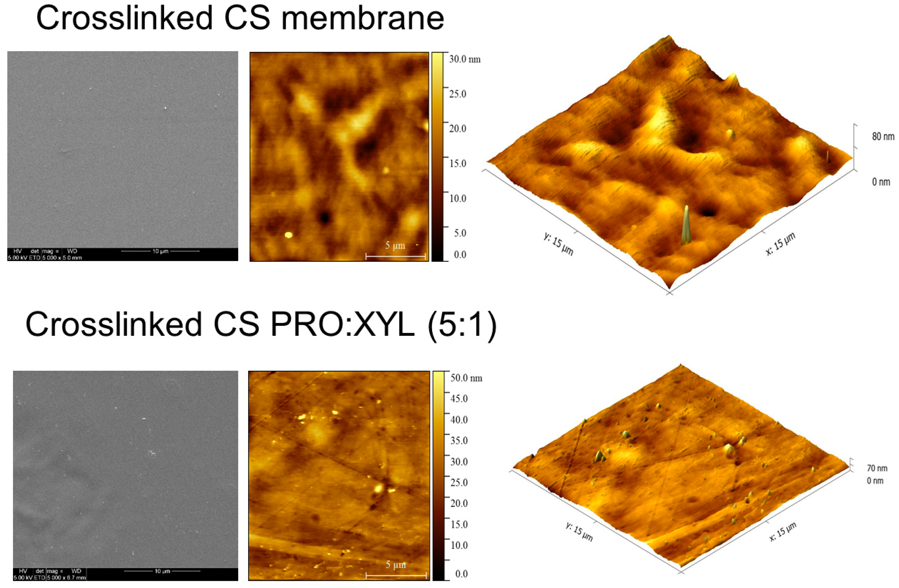 Membranes 13 00451 g004