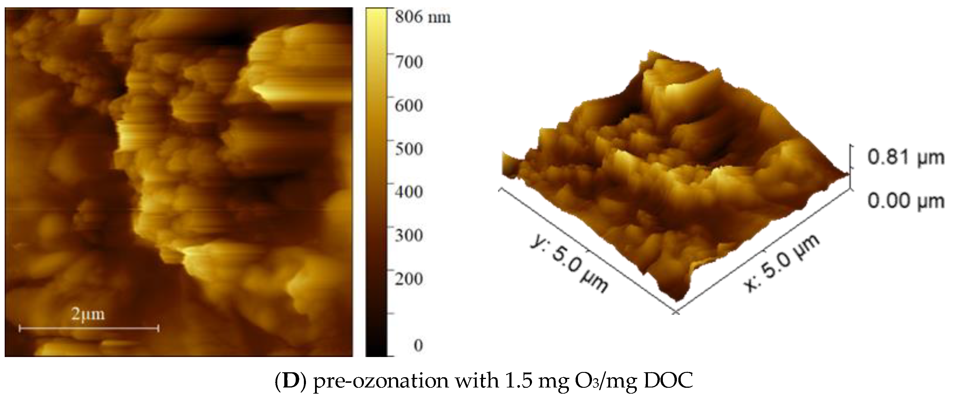 Membranes 13 00452 g009b Membranes 13 00452 g009b