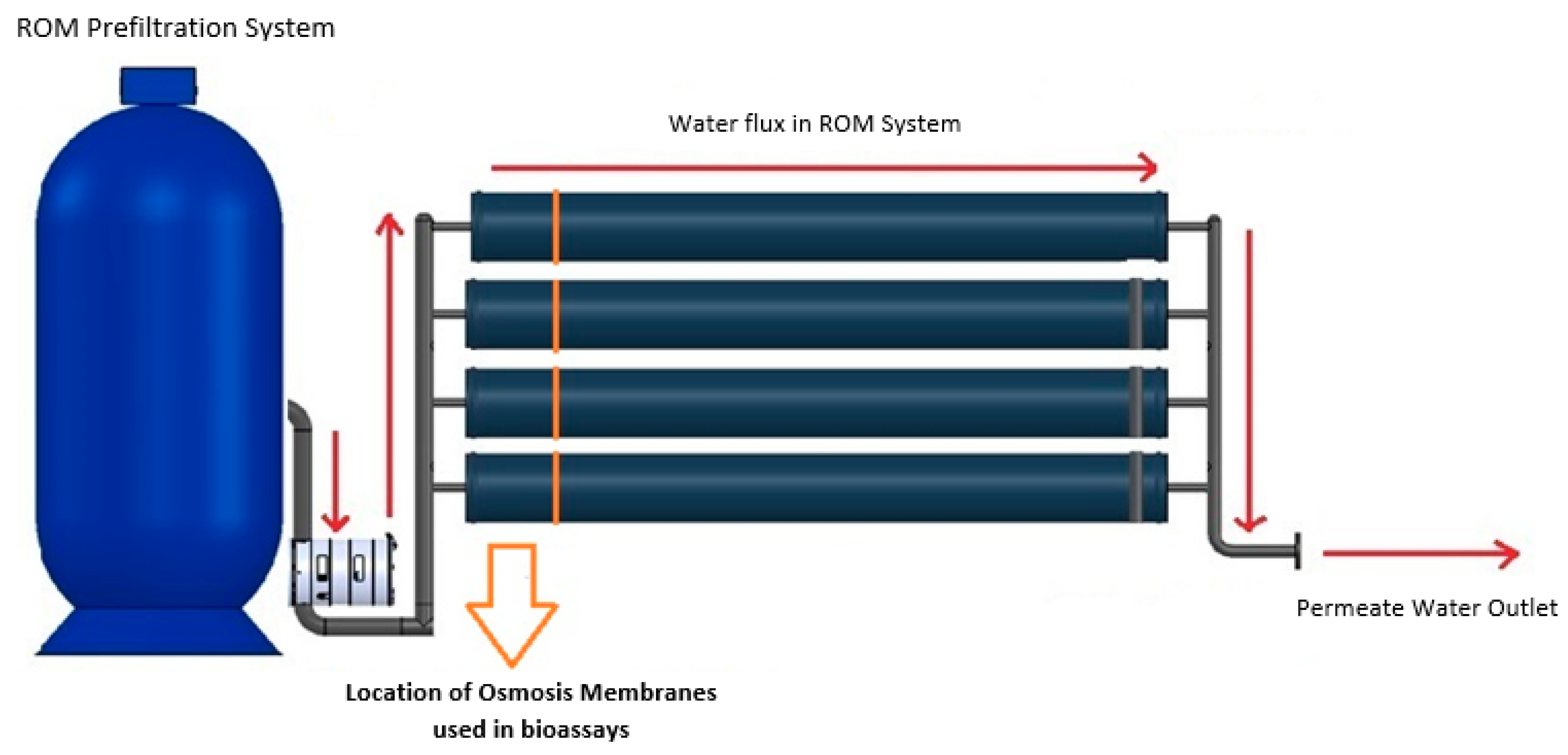 Membranes 13 00454 g001 Membranes 13 00454 g001