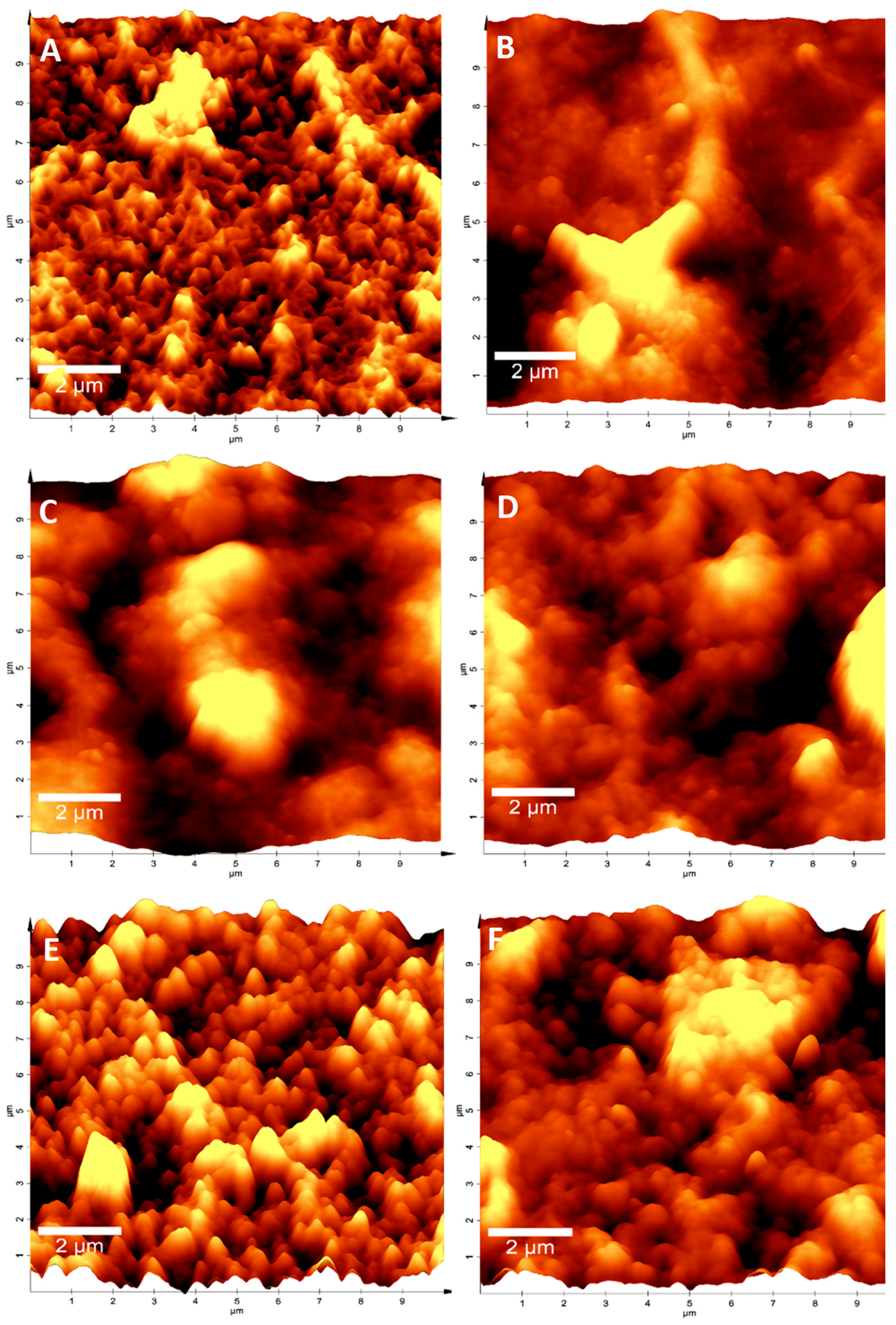 Membranes 13 00454 g002 Membranes 13 00454 g002
