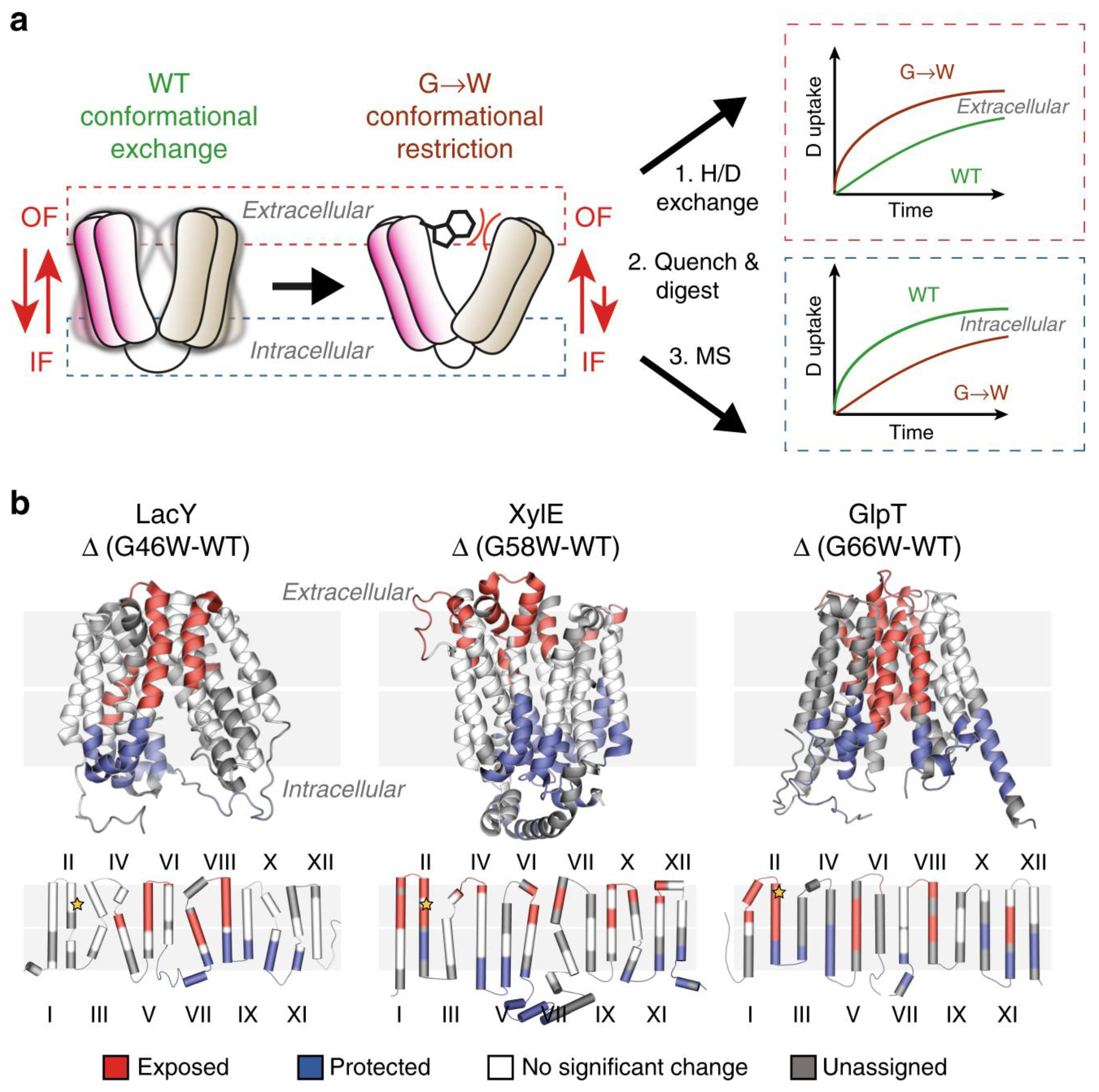 Membranes 13 00457 g001 Membranes 13 00457 g001
