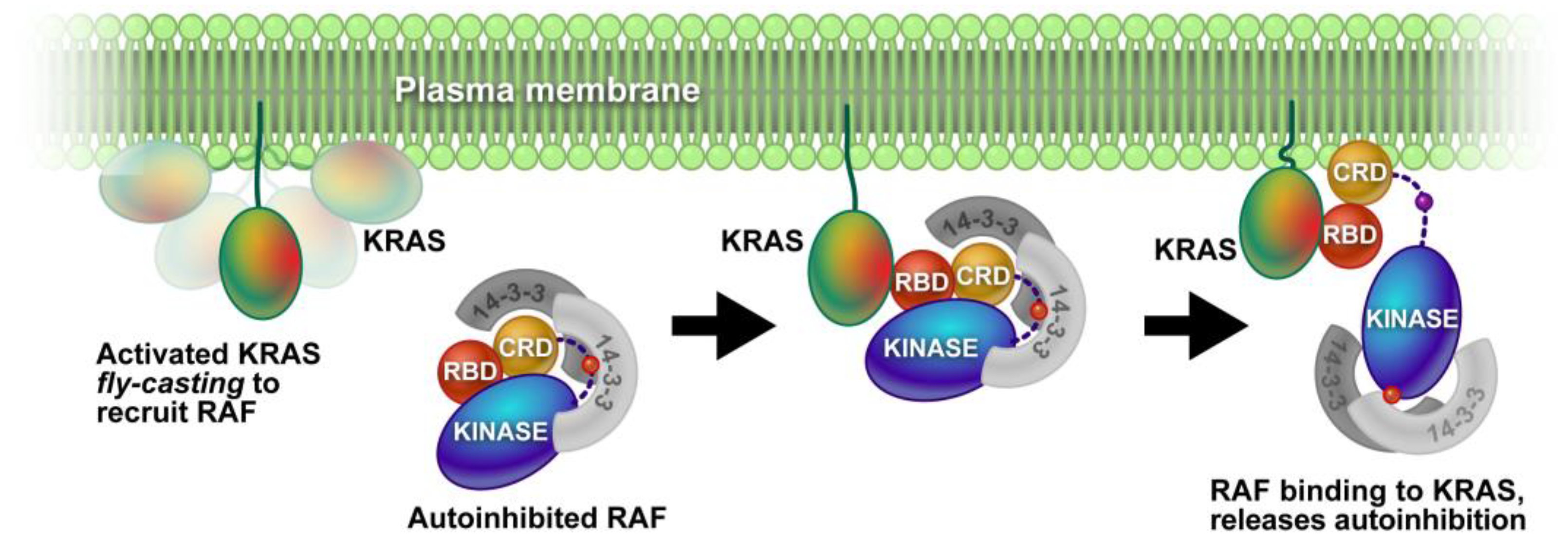 Membranes 13 00457 g002 Membranes 13 00457 g002