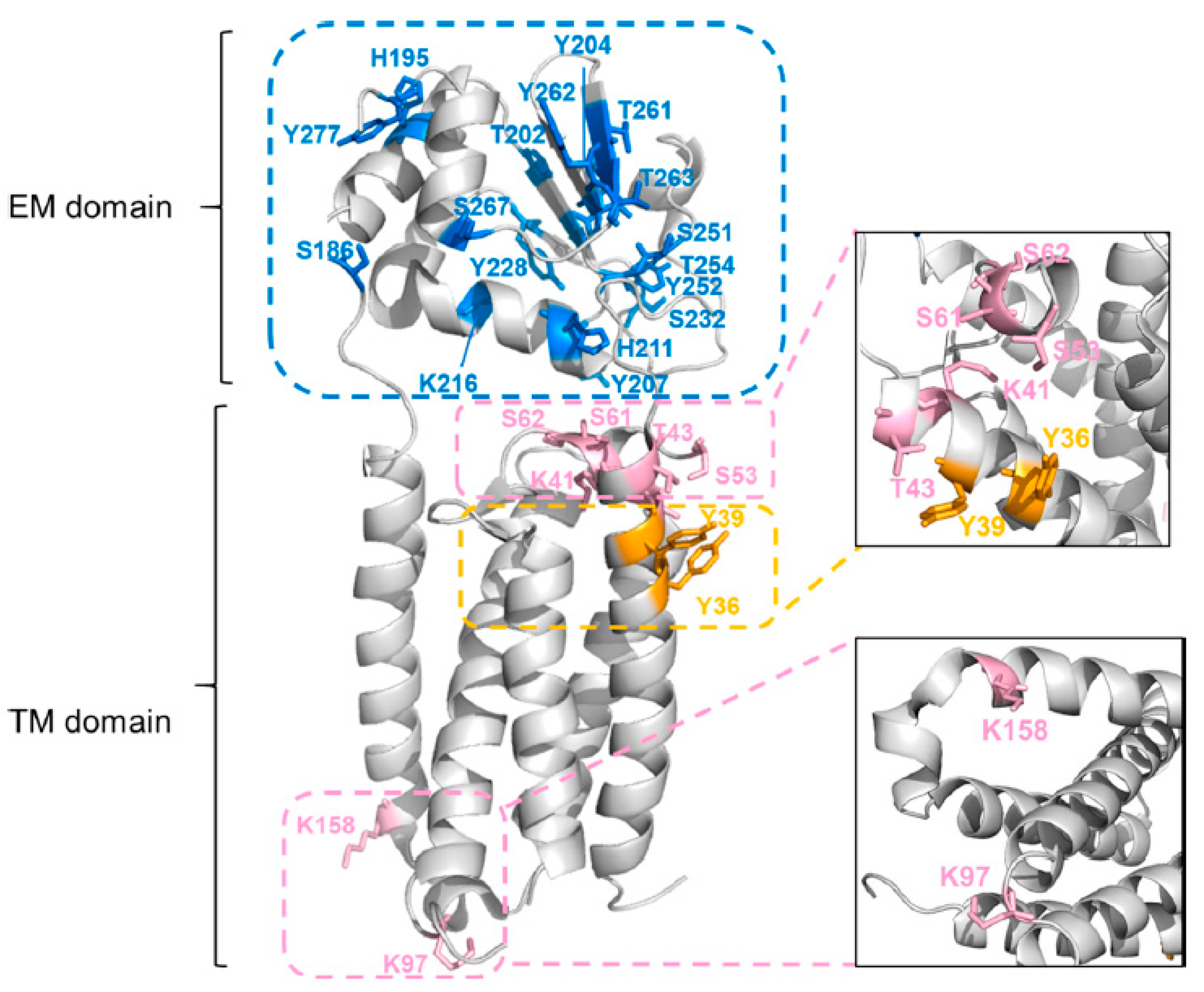 Membranes 13 00457 g006 Membranes 13 00457 g006