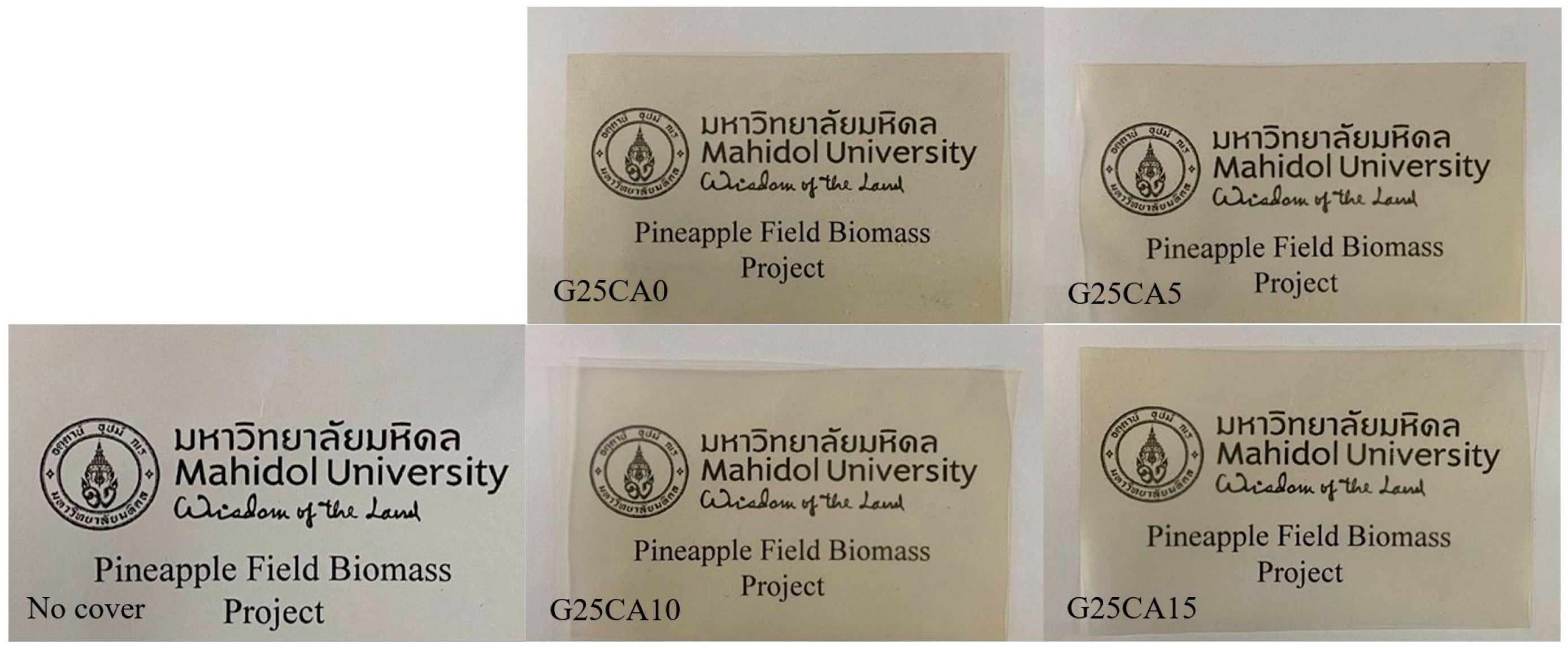 Membranes 13 00458 g001