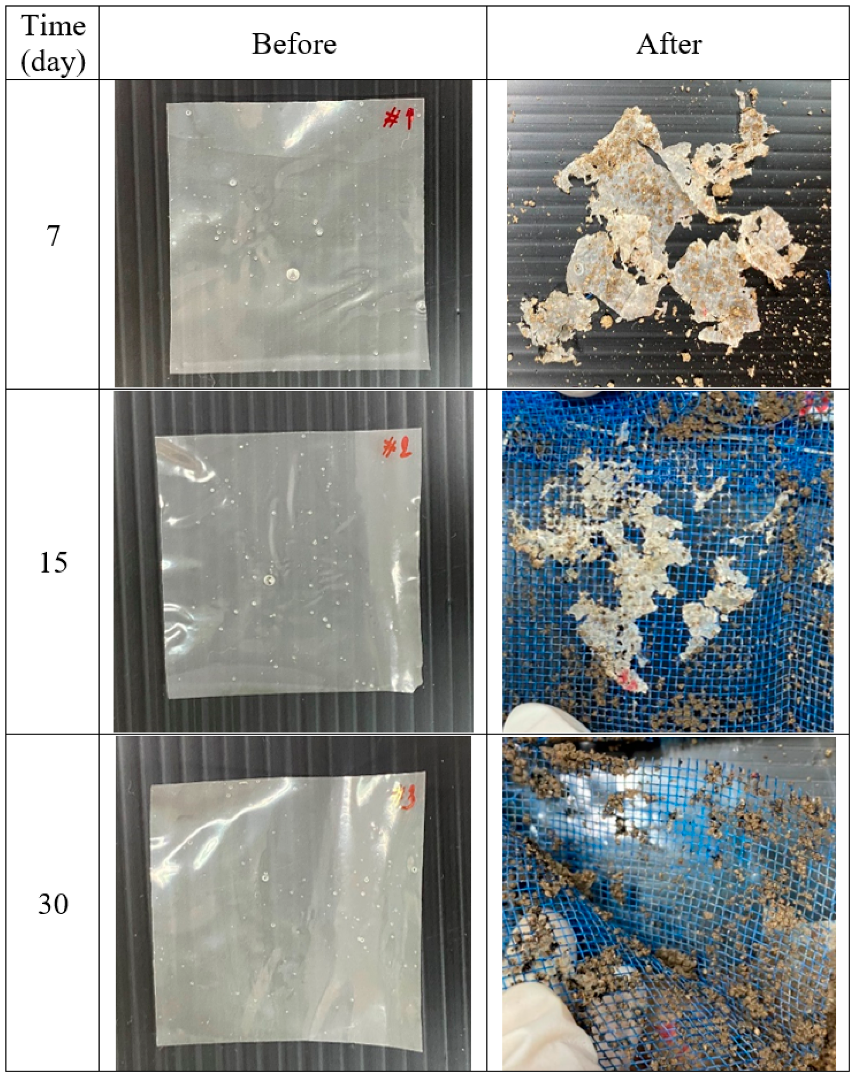 Membranes 13 00458 g010