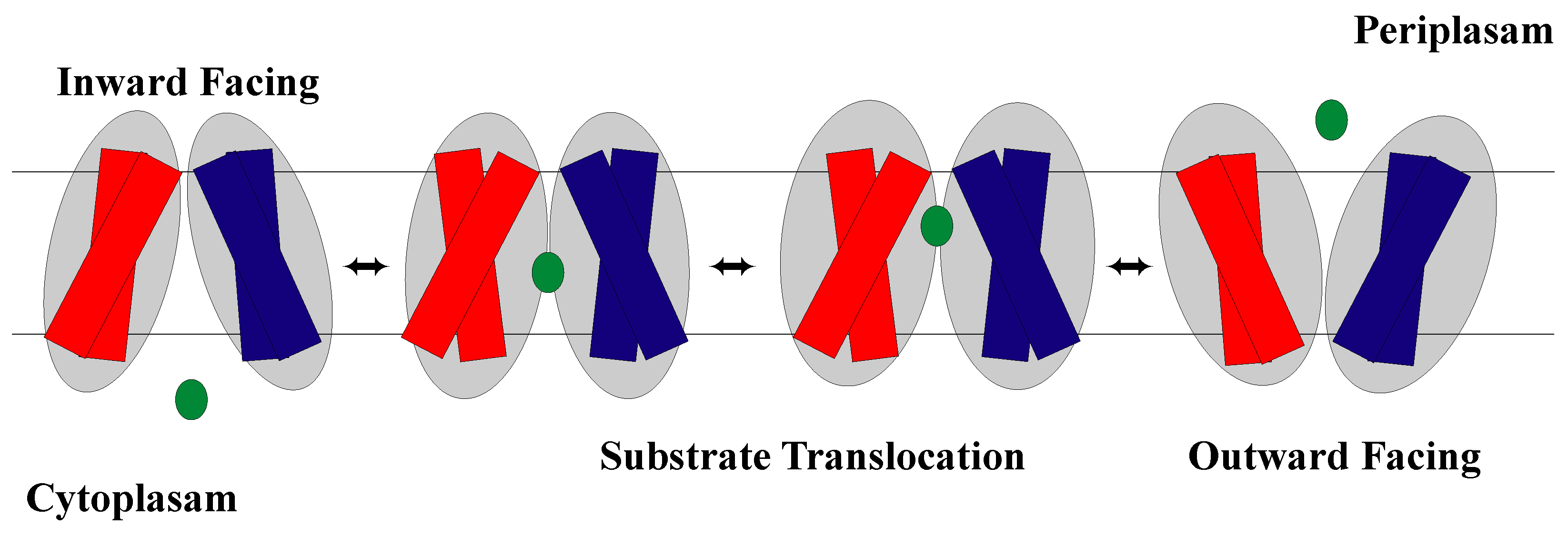 Membranes 13 00462 g003 Membranes 13 00462 g003