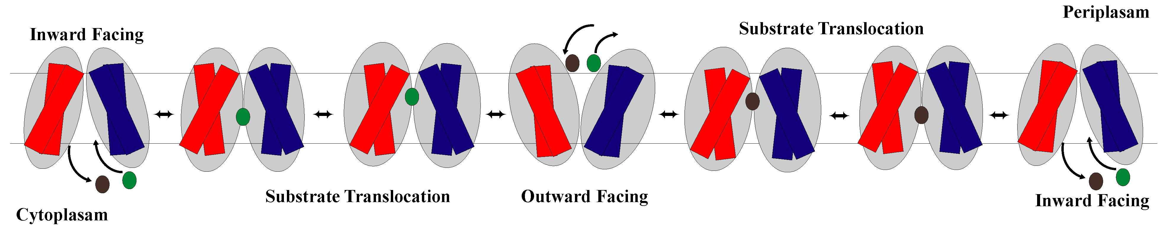 Membranes 13 00462 g005 Membranes 13 00462 g005