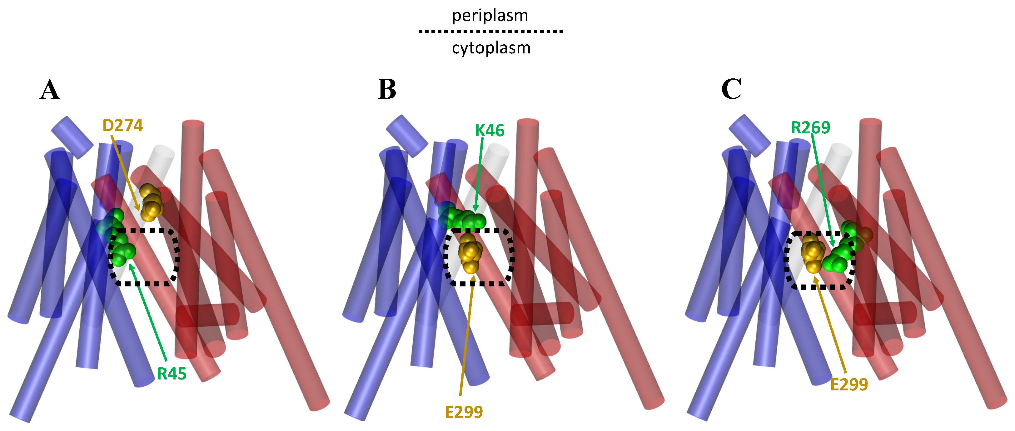 Membranes 13 00462 g006 Membranes 13 00462 g006