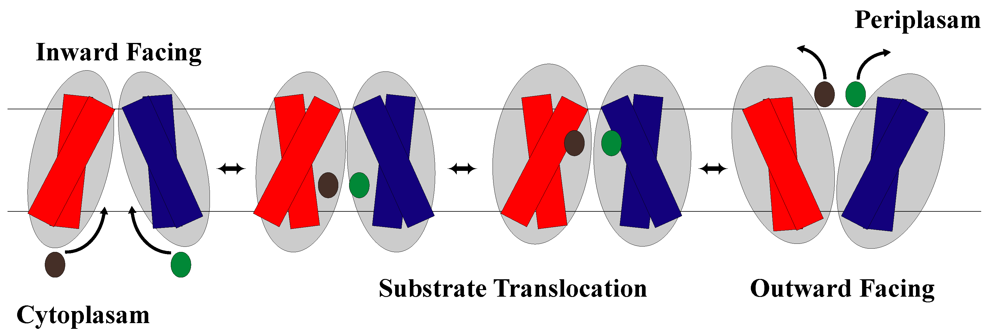 Membranes 13 00462 g007 Membranes 13 00462 g007