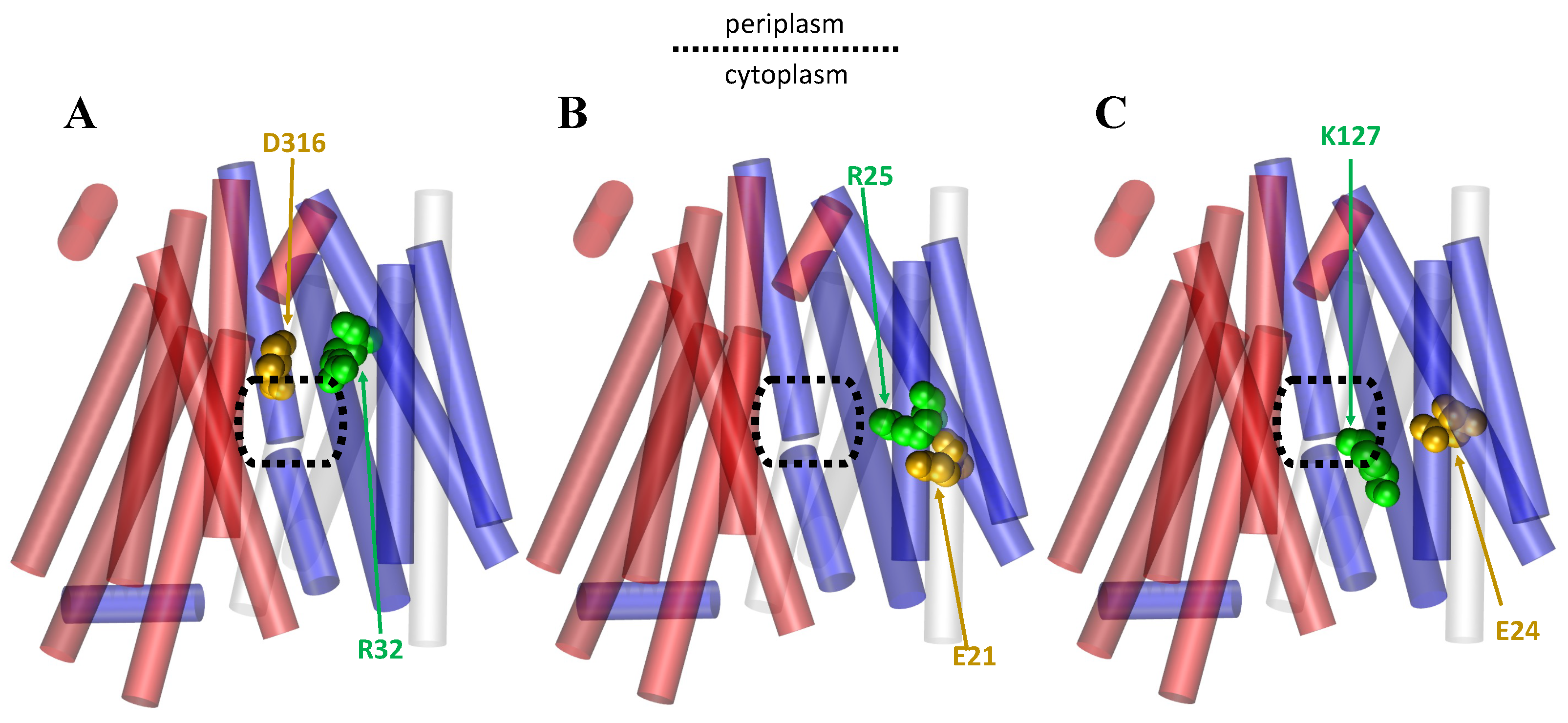 Membranes 13 00462 g008 Membranes 13 00462 g008