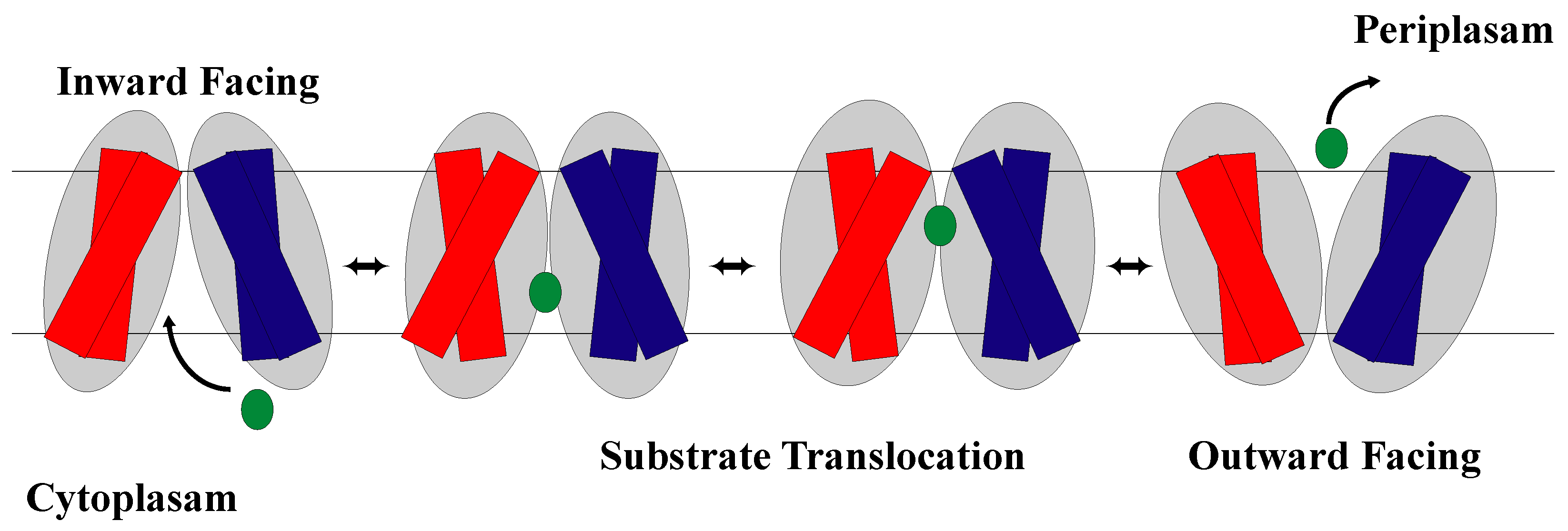 Membranes 13 00462 g009 Membranes 13 00462 g009