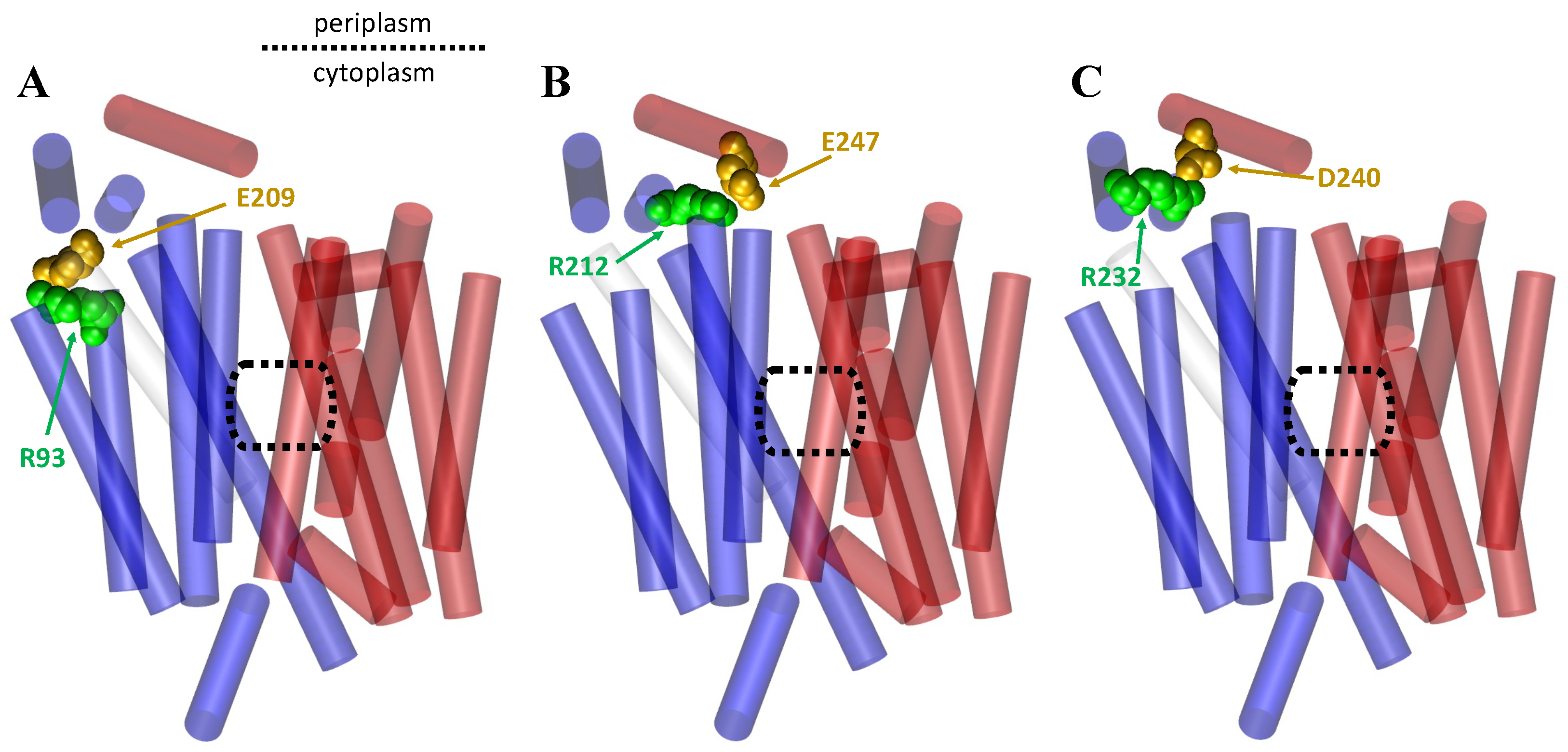 Membranes 13 00462 g010 Membranes 13 00462 g010