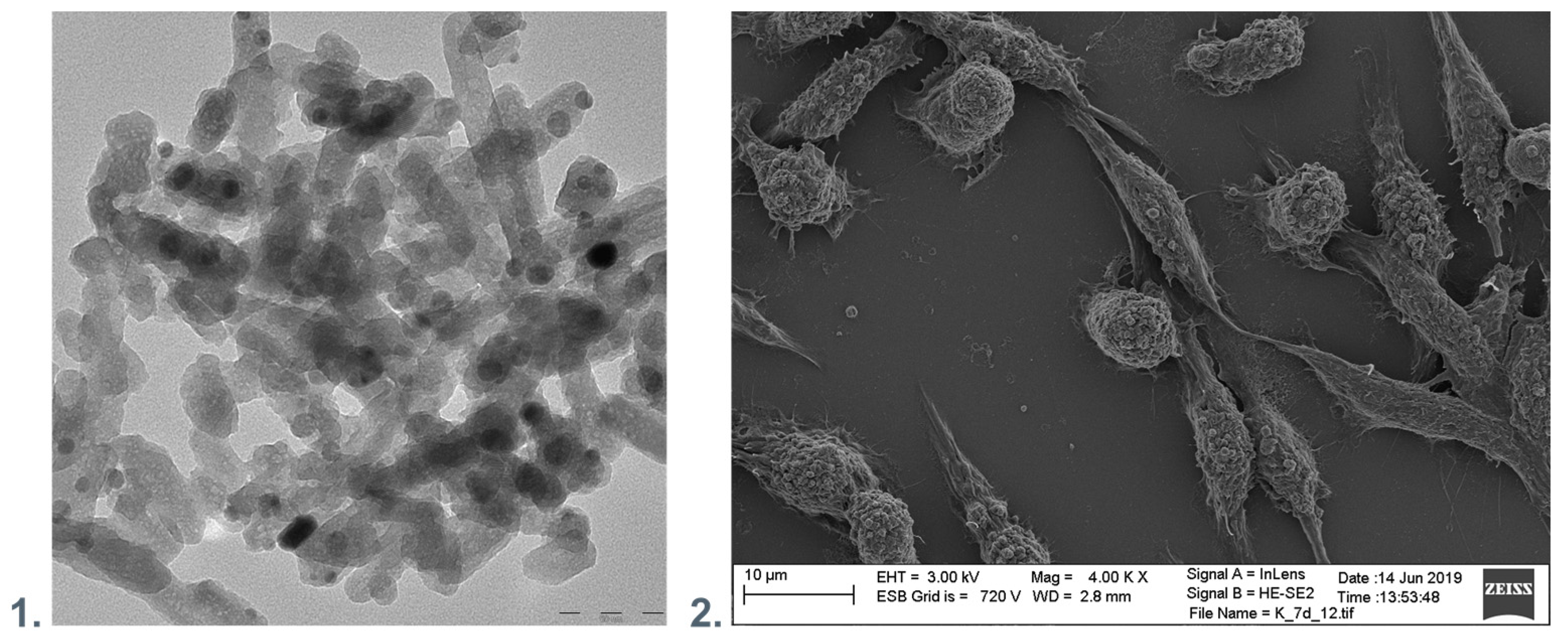 Membranes 13 00464 g003 Membranes 13 00464 g003