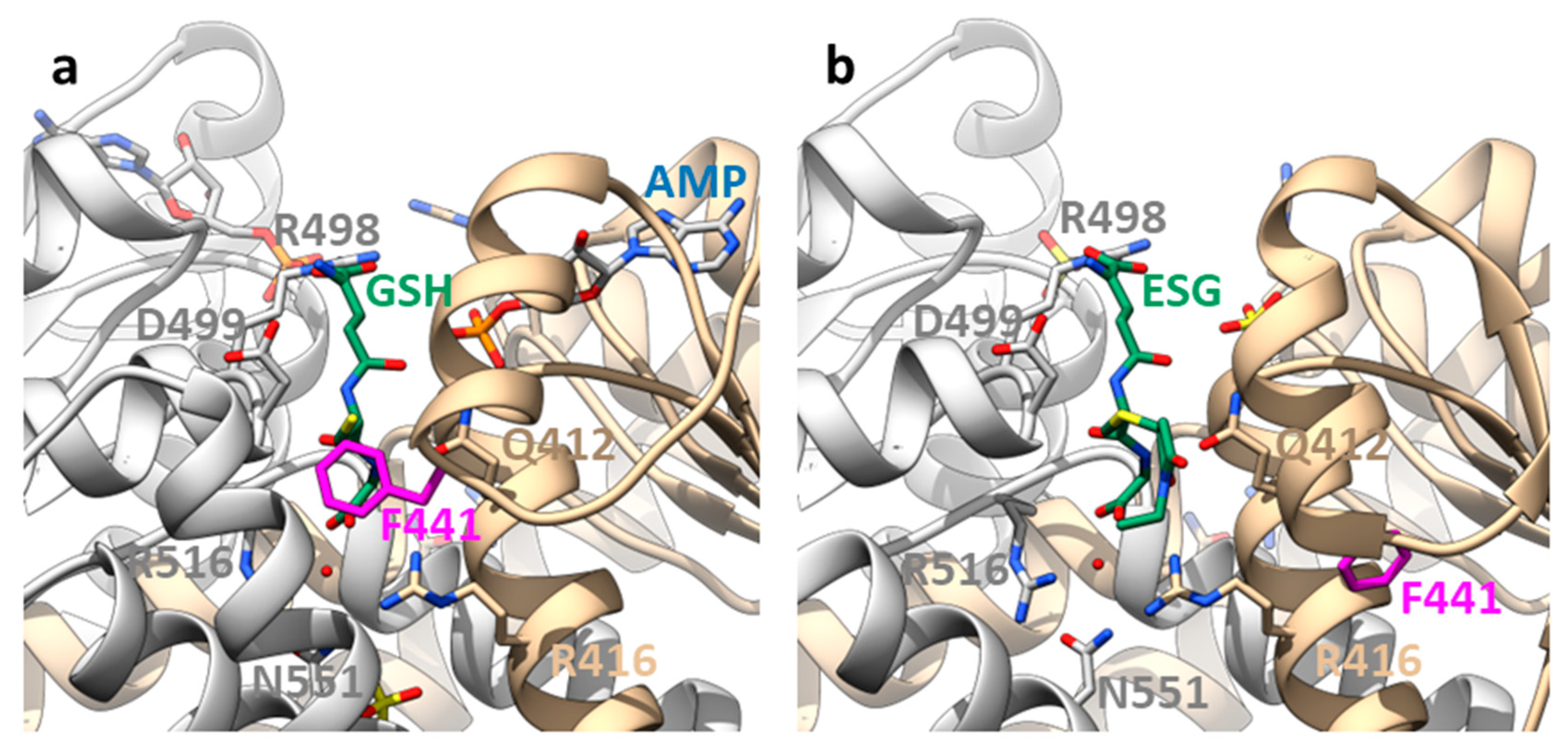 Membranes 13 00465 g003