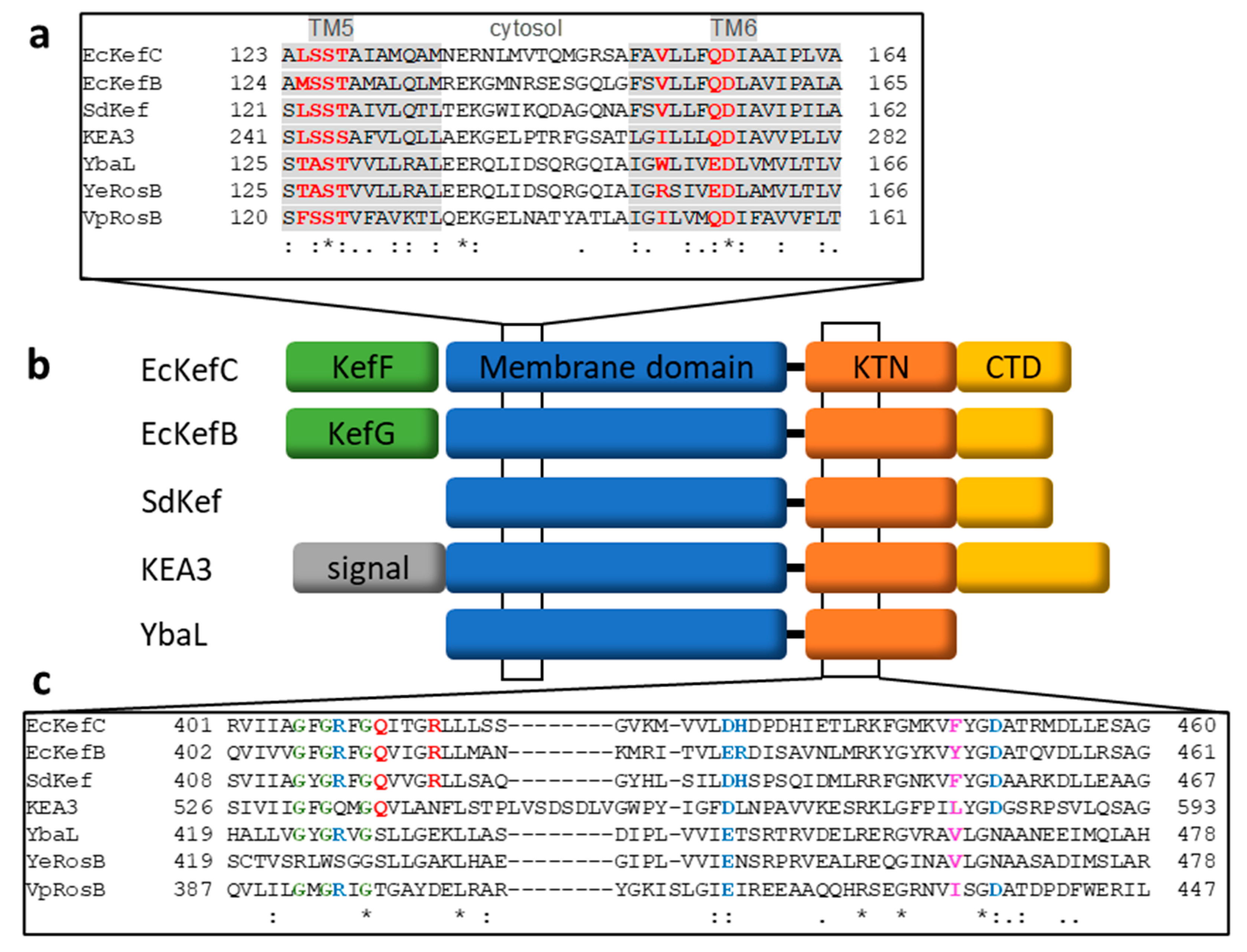 Membranes 13 00465 g004