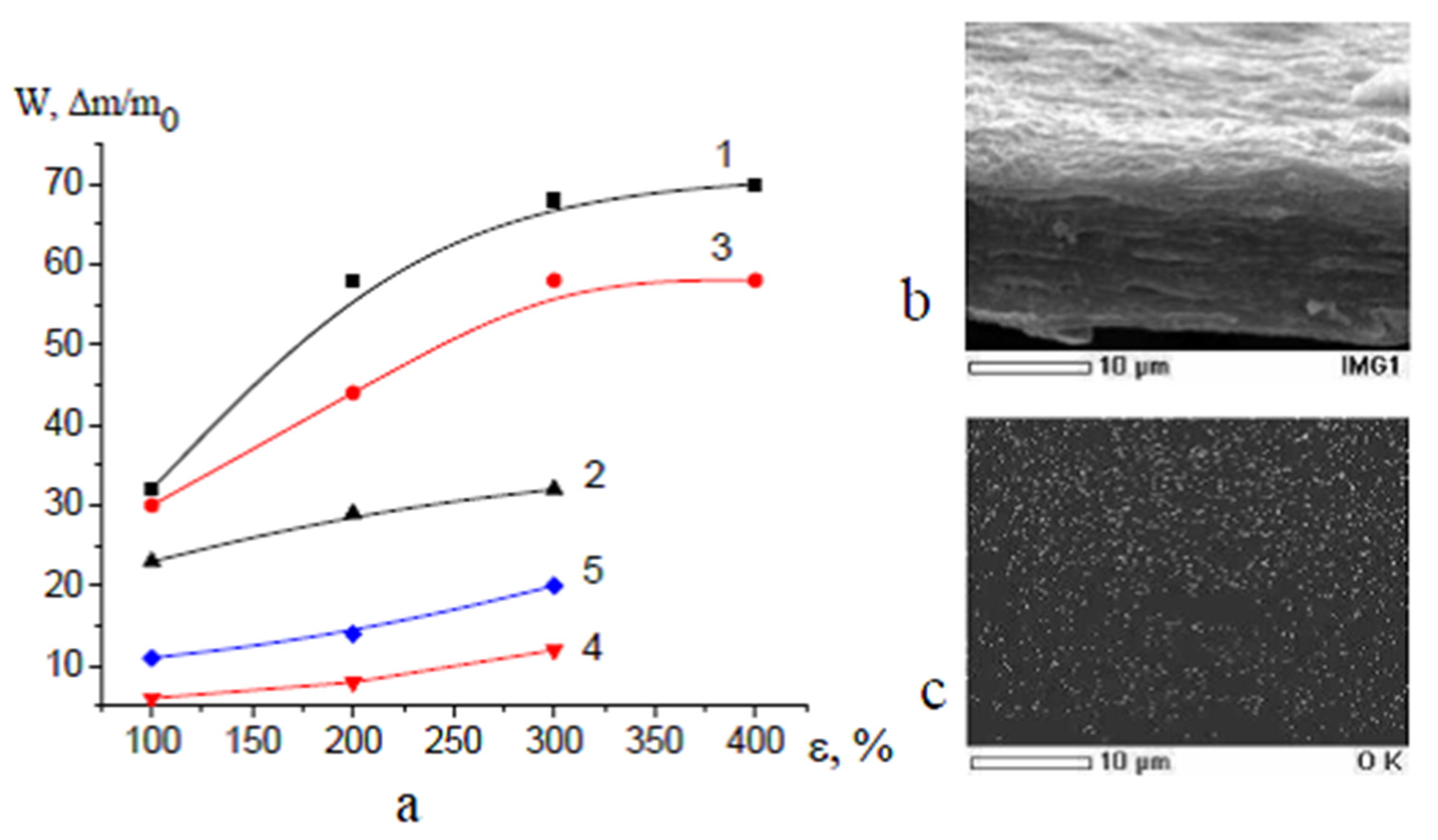 Membranes 13 00466 g006