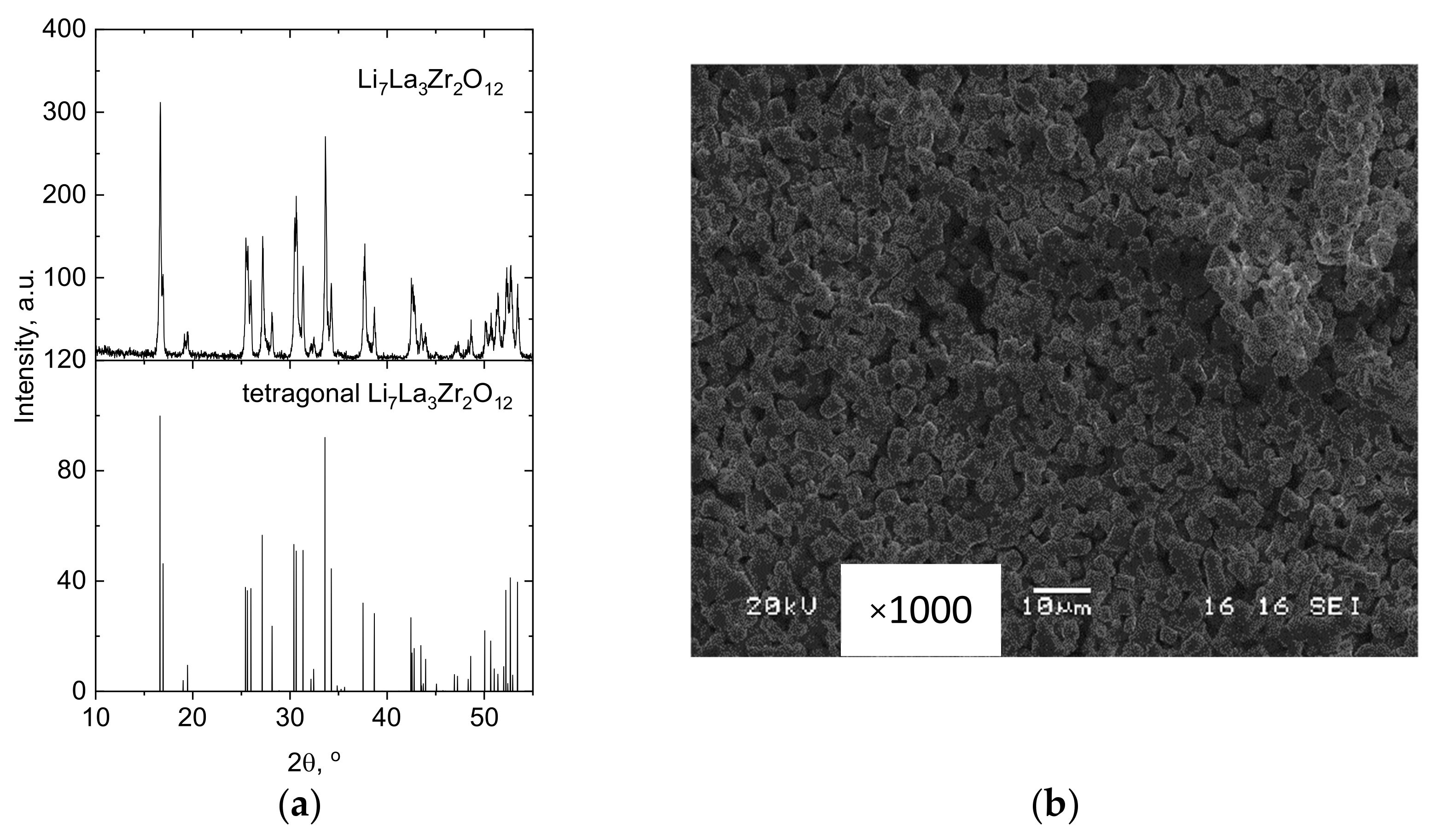 Membranes 13 00468 g001