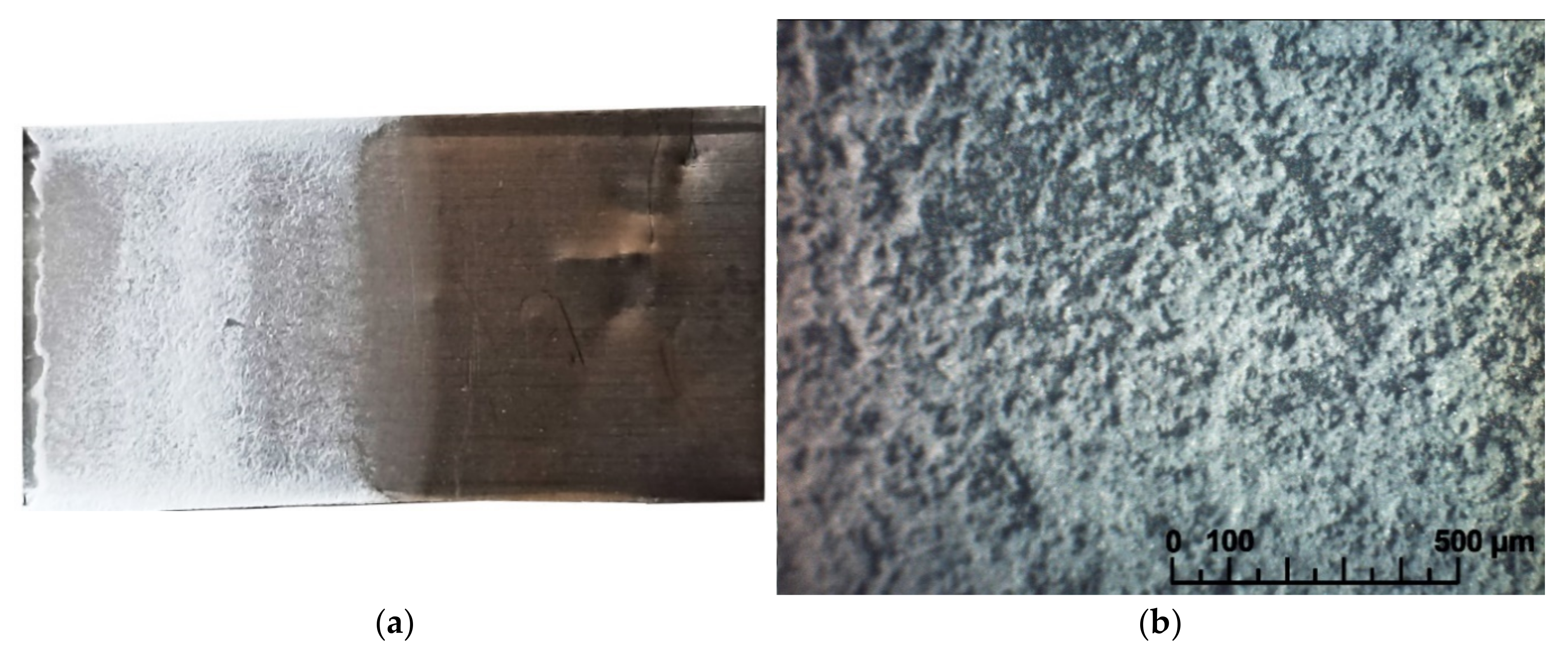 Membranes 13 00468 g002