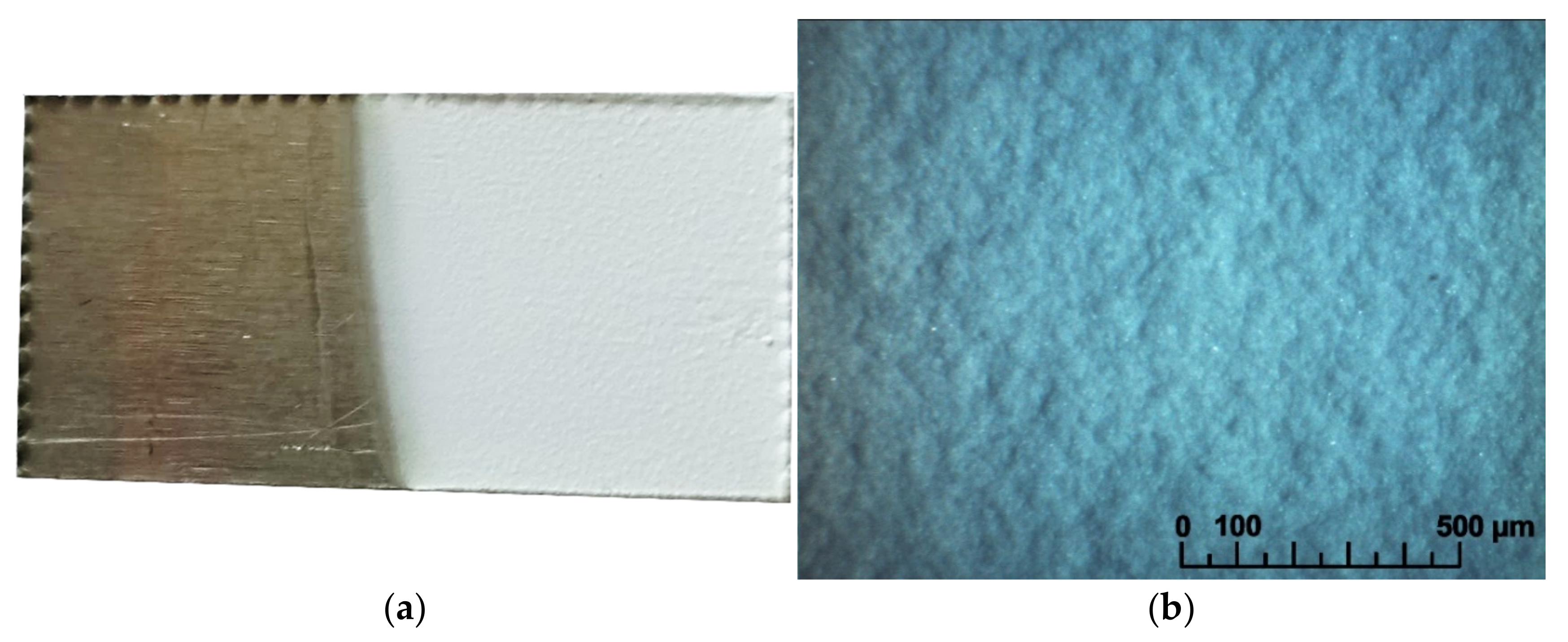 Membranes 13 00468 g004