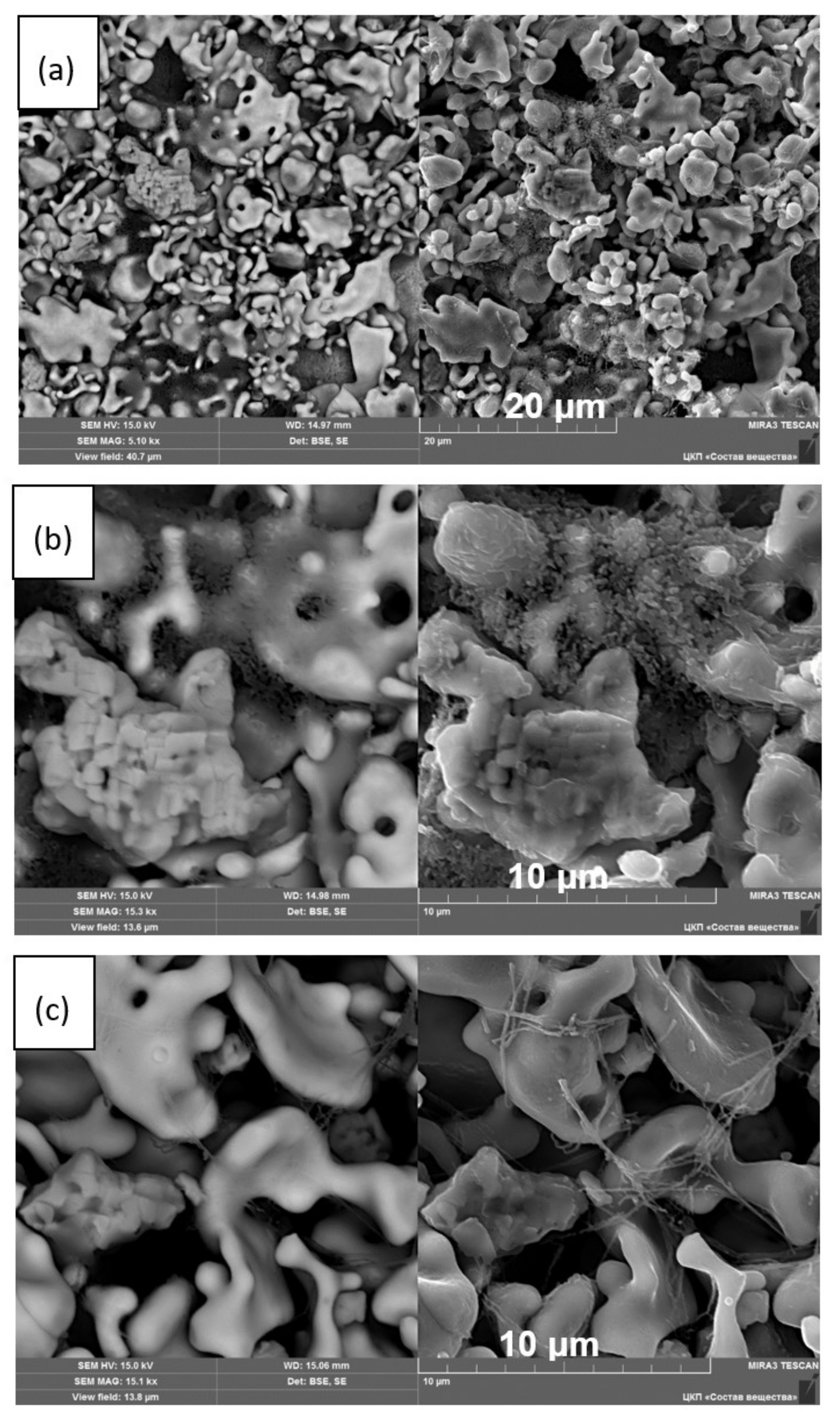 Membranes 13 00468 g007a