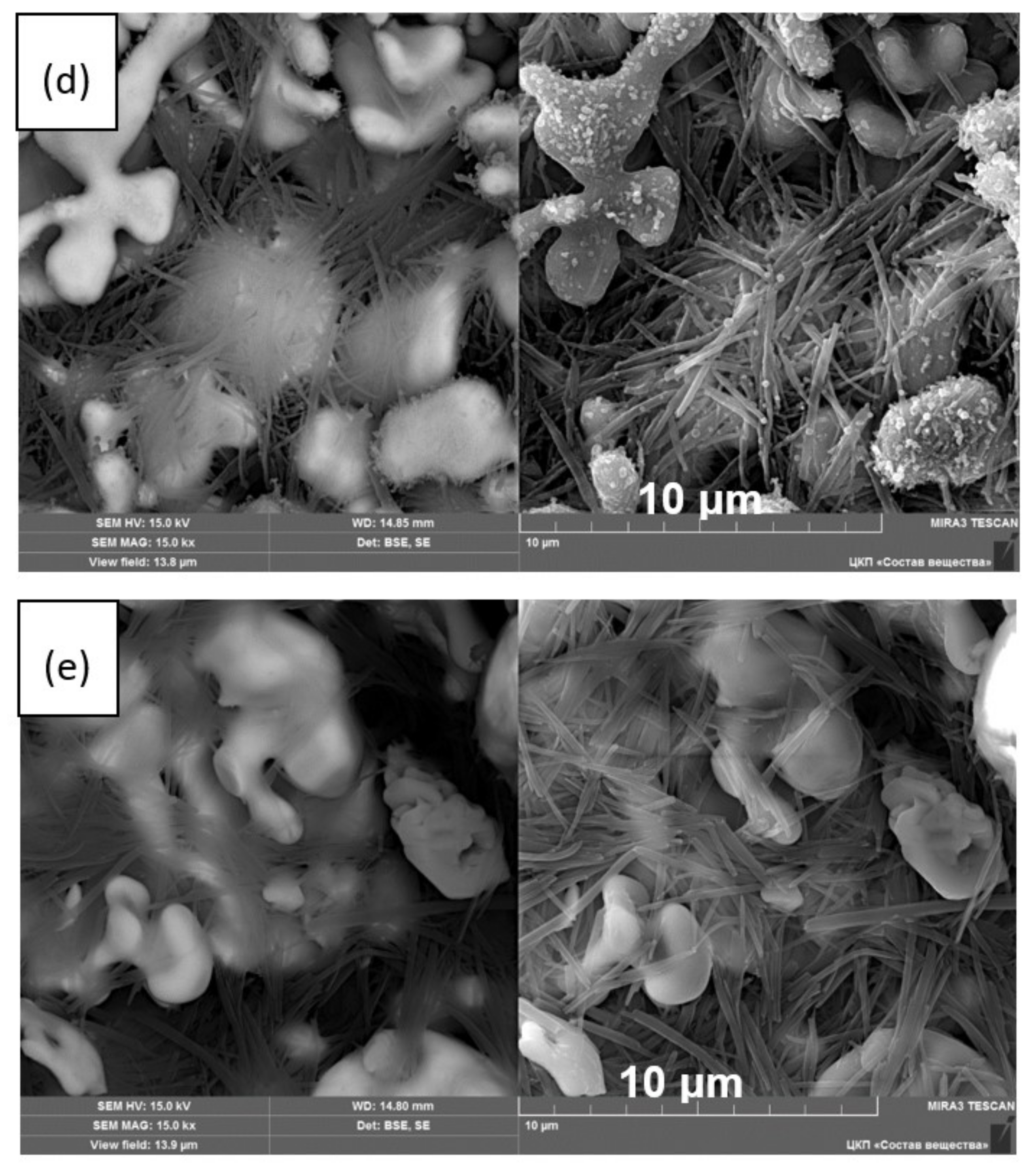 Membranes 13 00468 g007b