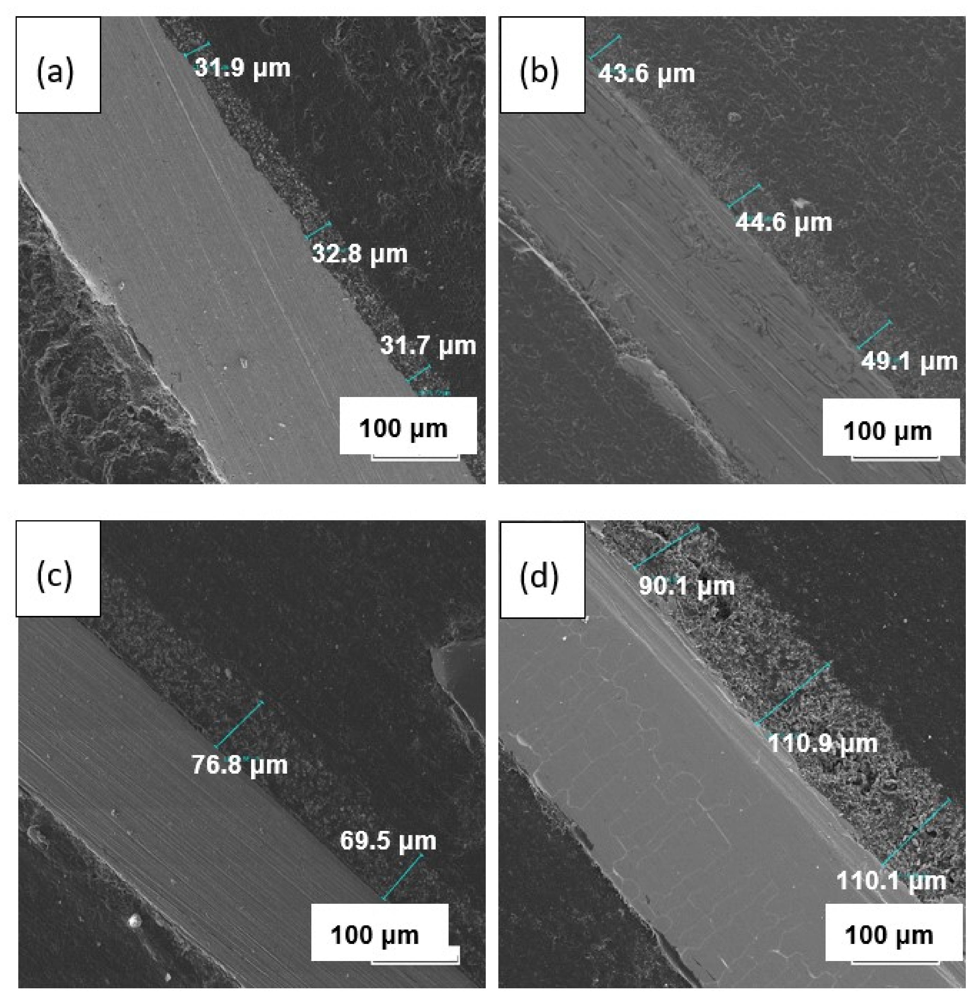 Membranes 13 00468 g011