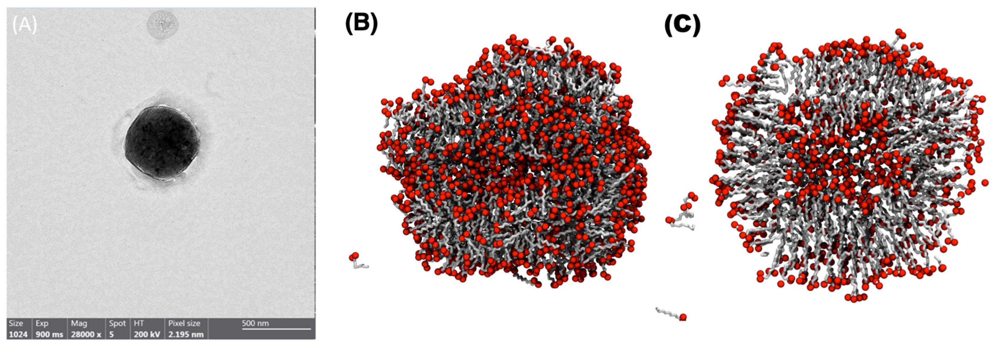 Membranes 13 00469 g001 Membranes 13 00469 g001