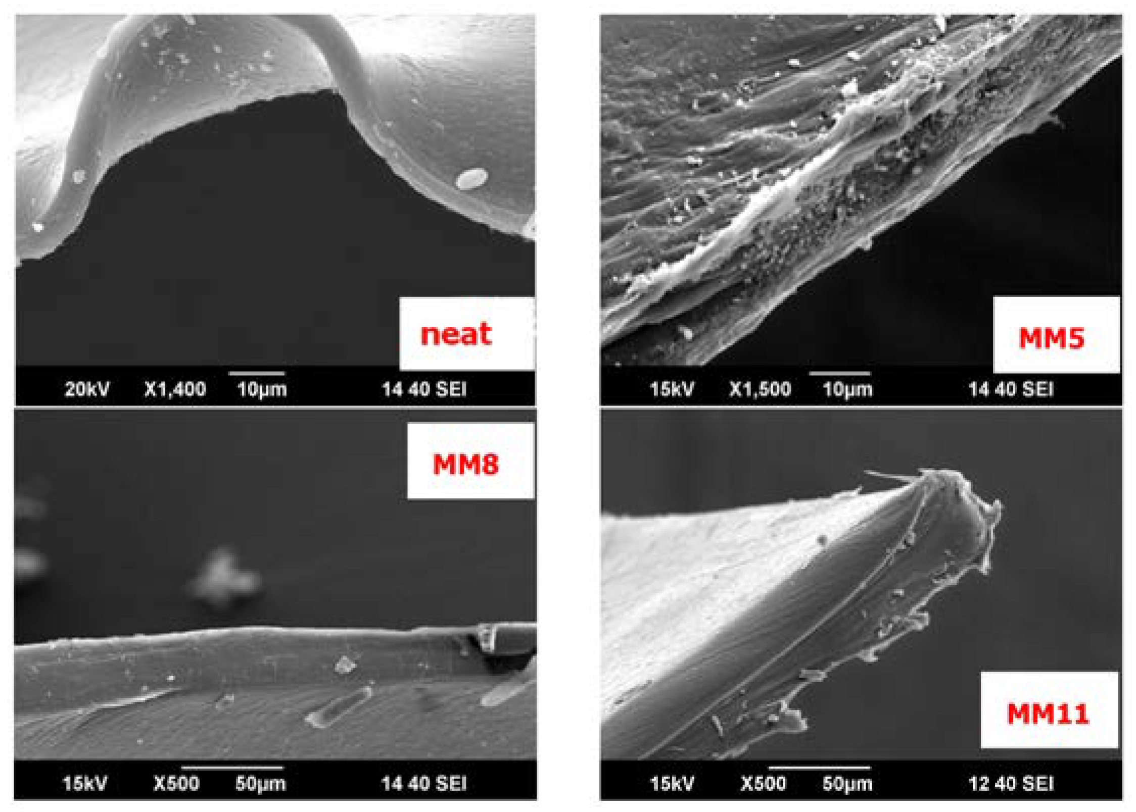 Membranes 13 00470 g004 Membranes 13 00470 g004