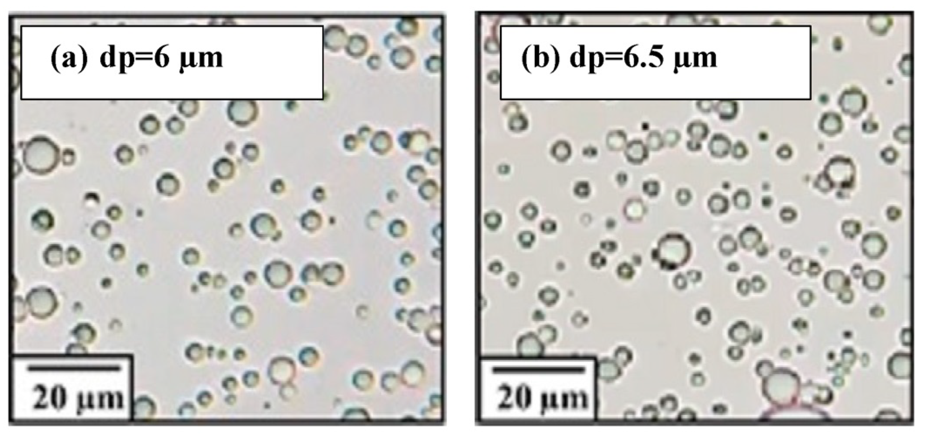 Membranes 13 00474 g003 Membranes 13 00474 g003