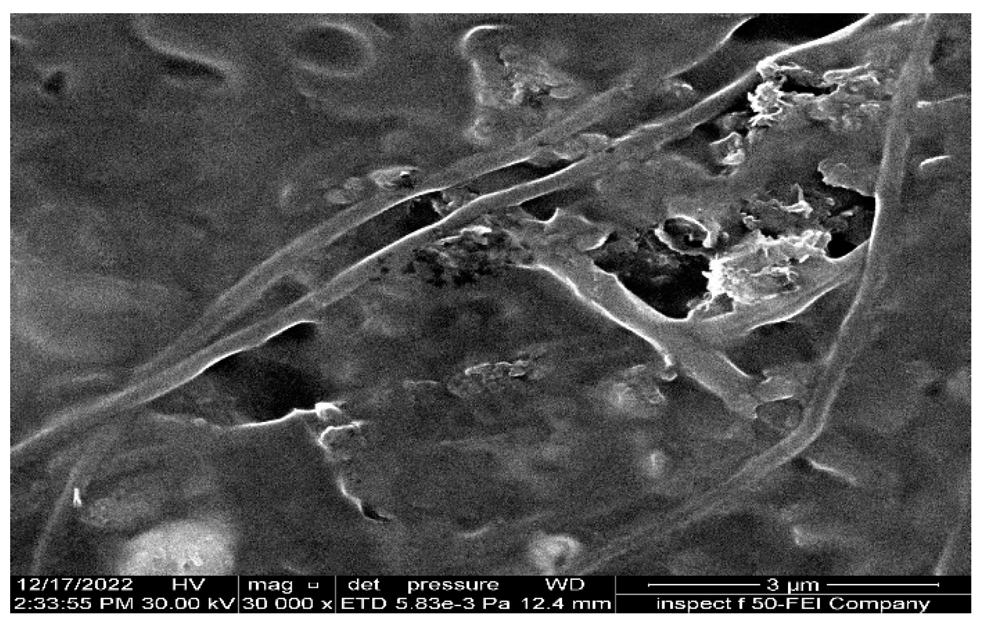 Membranes 13 00474 g012 Membranes 13 00474 g012