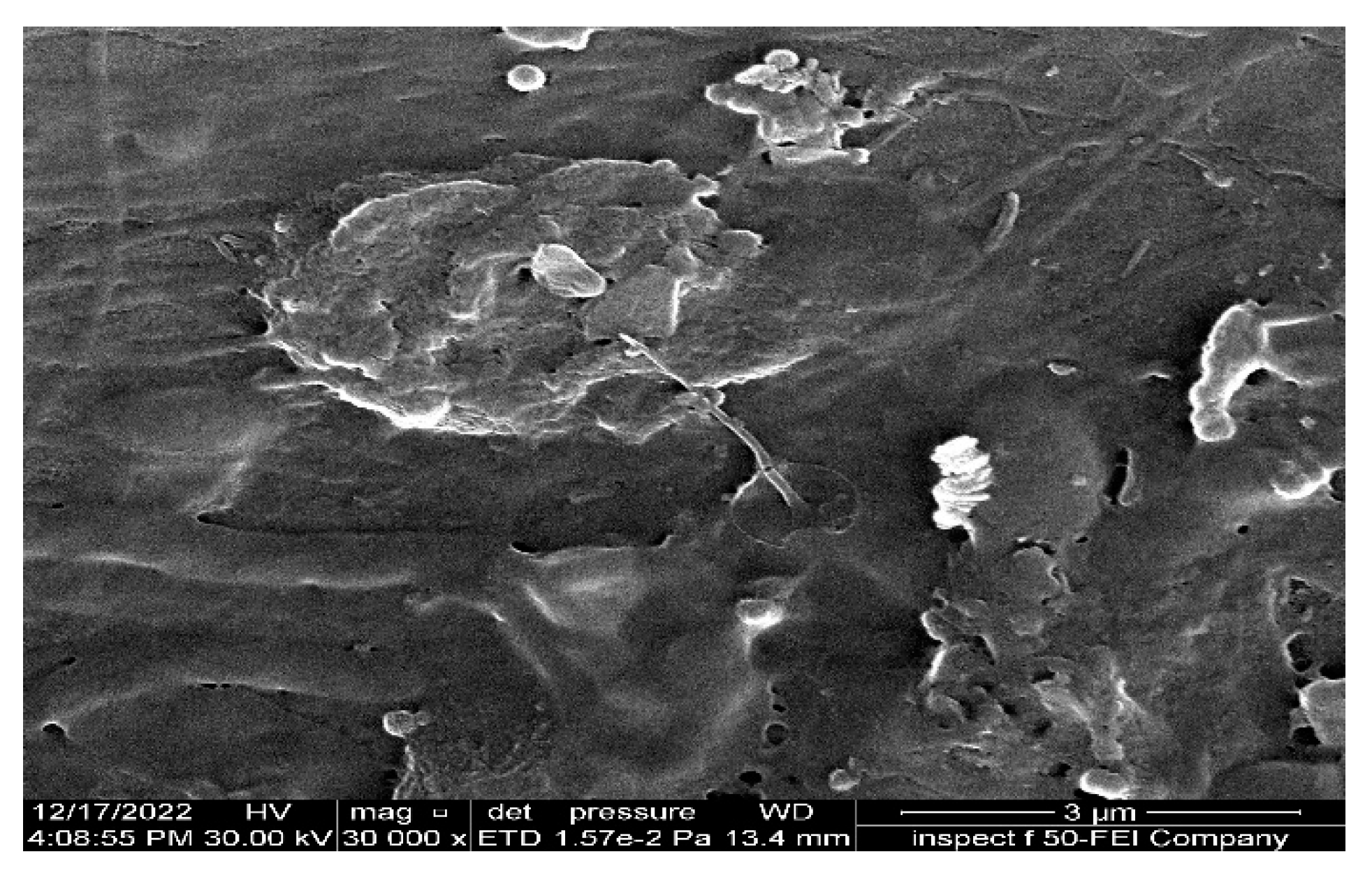 Membranes 13 00474 g014 Membranes 13 00474 g014