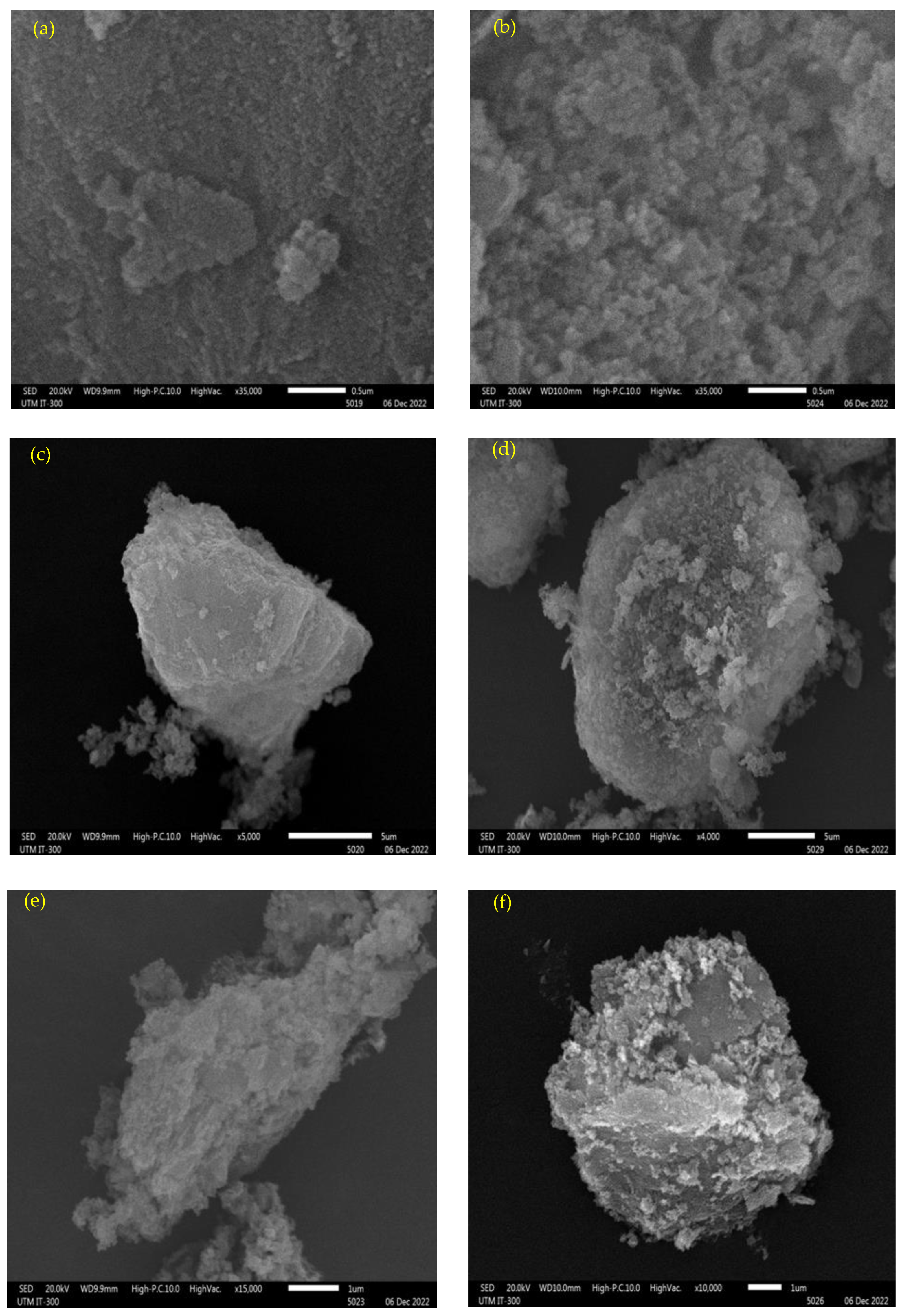 Membranes 13 00475 g001 Membranes 13 00475 g001