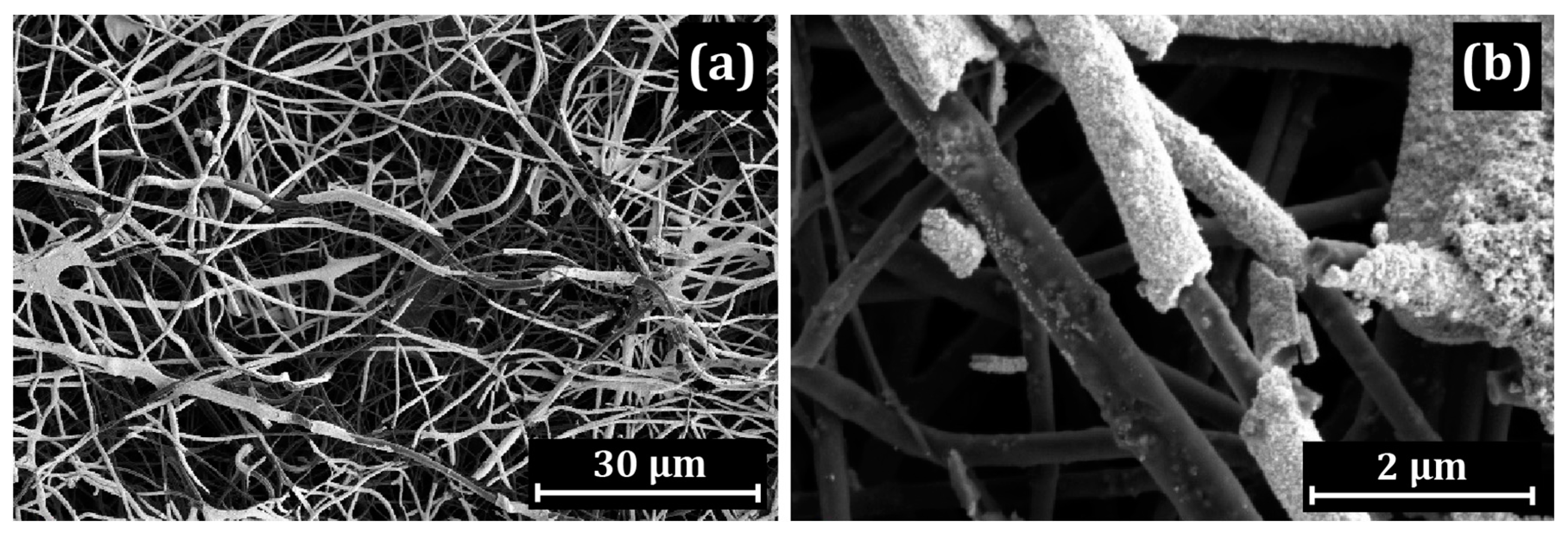 Membranes 13 00479 g004 Membranes 13 00479 g004