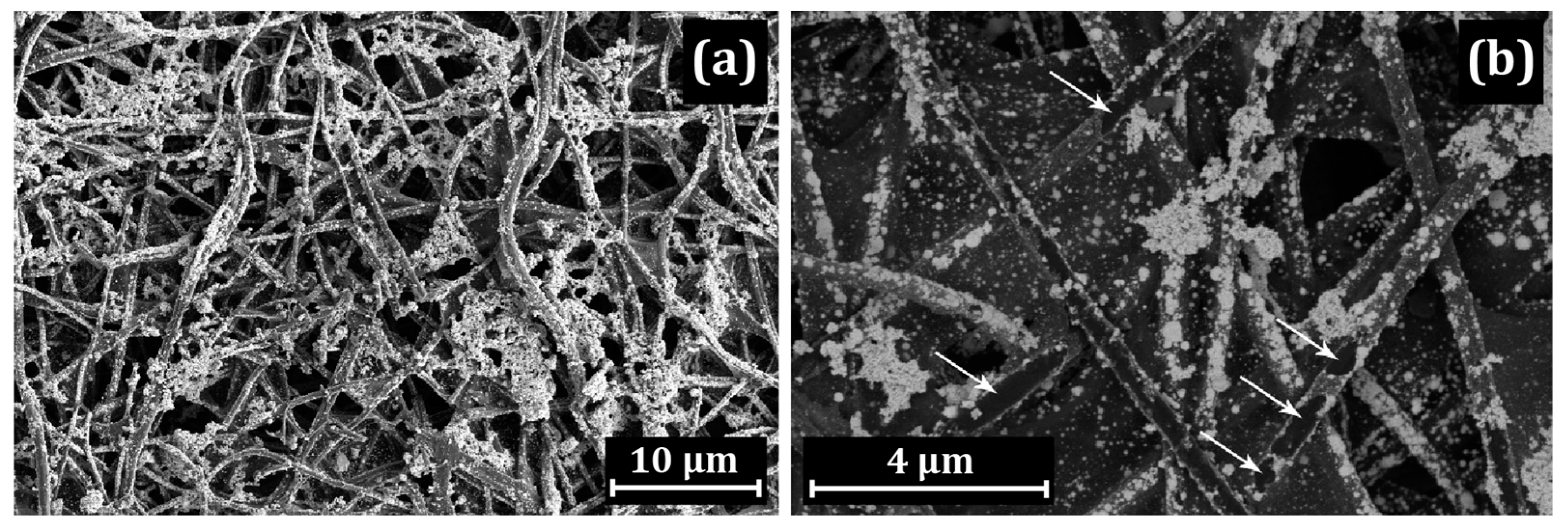 Membranes 13 00479 g006 Membranes 13 00479 g006