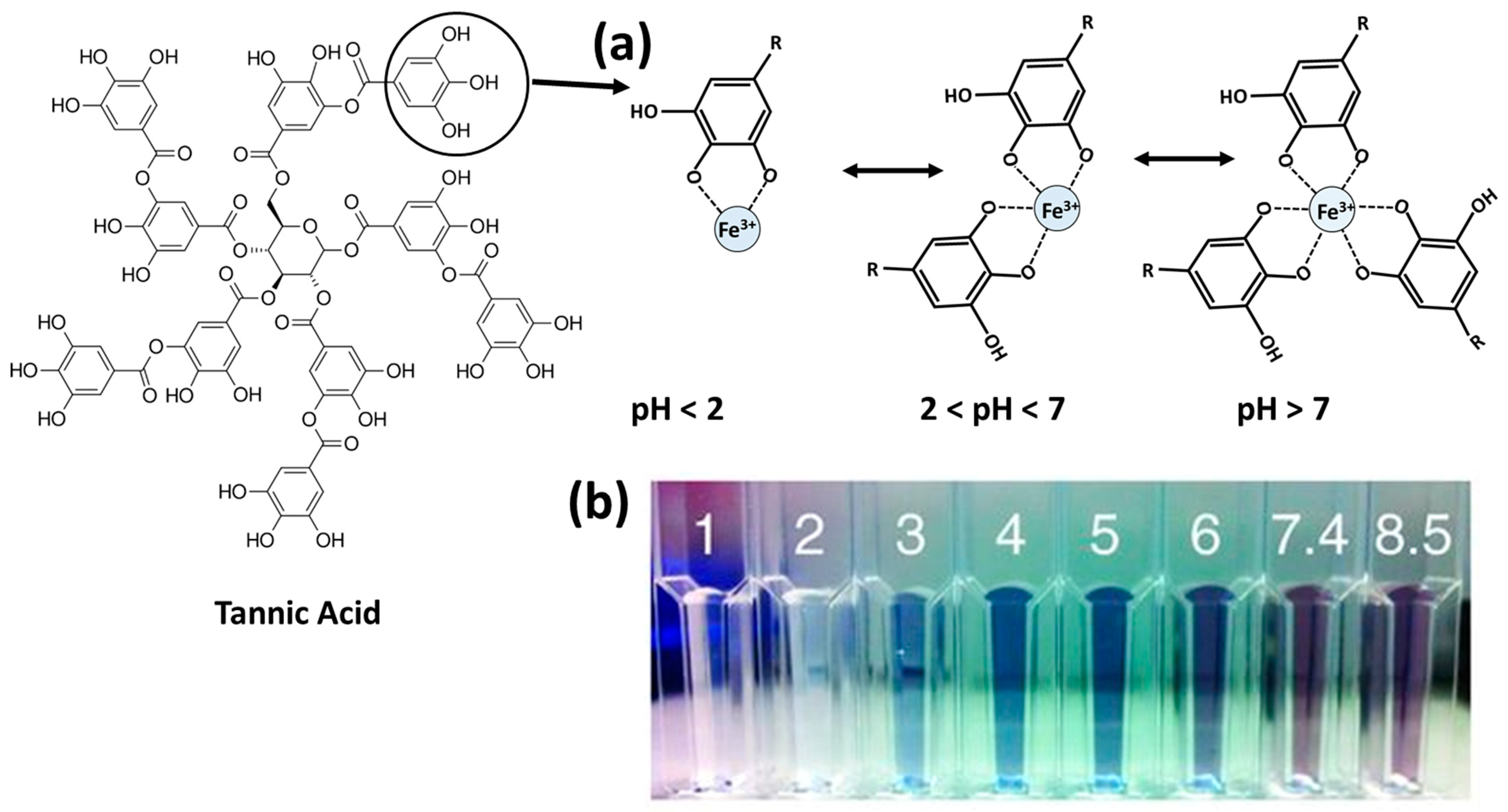 Membranes 13 00481 g001