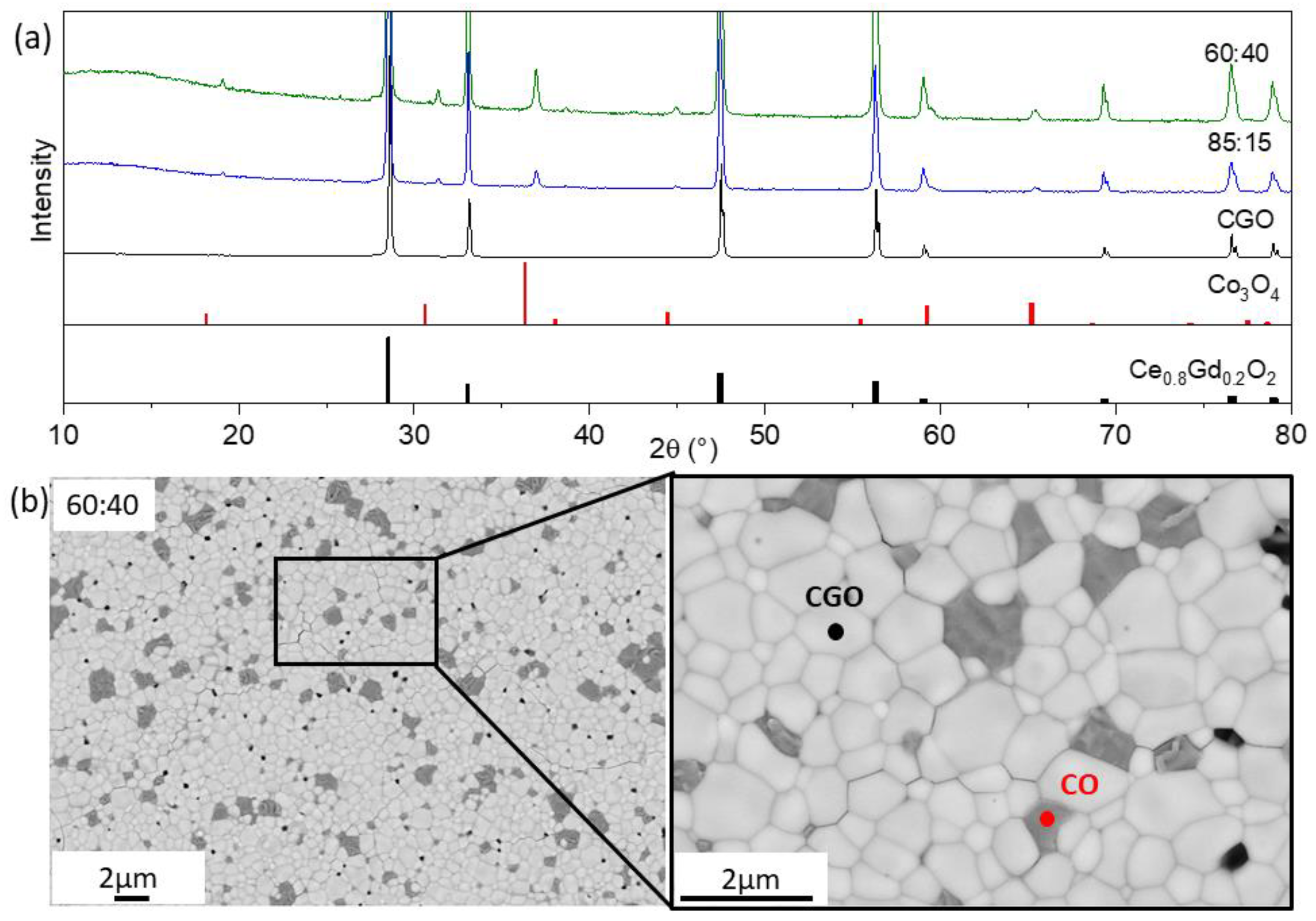 Membranes 13 00482 g001 Membranes 13 00482 g001