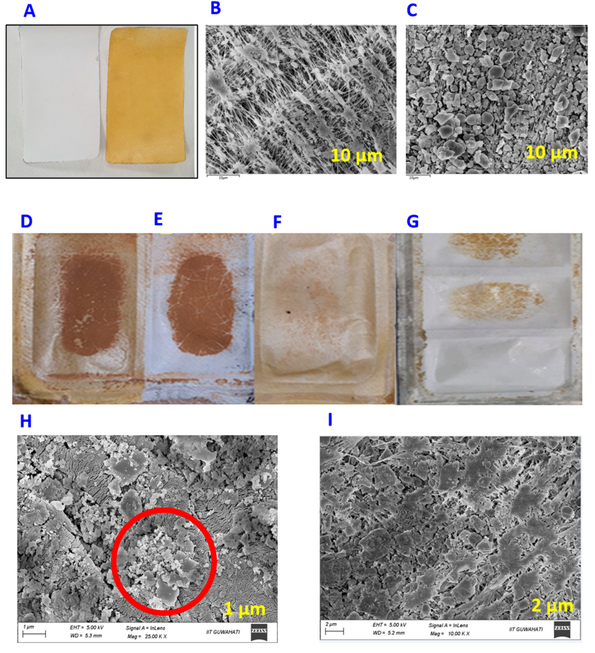 Membranes 13 00483 g003