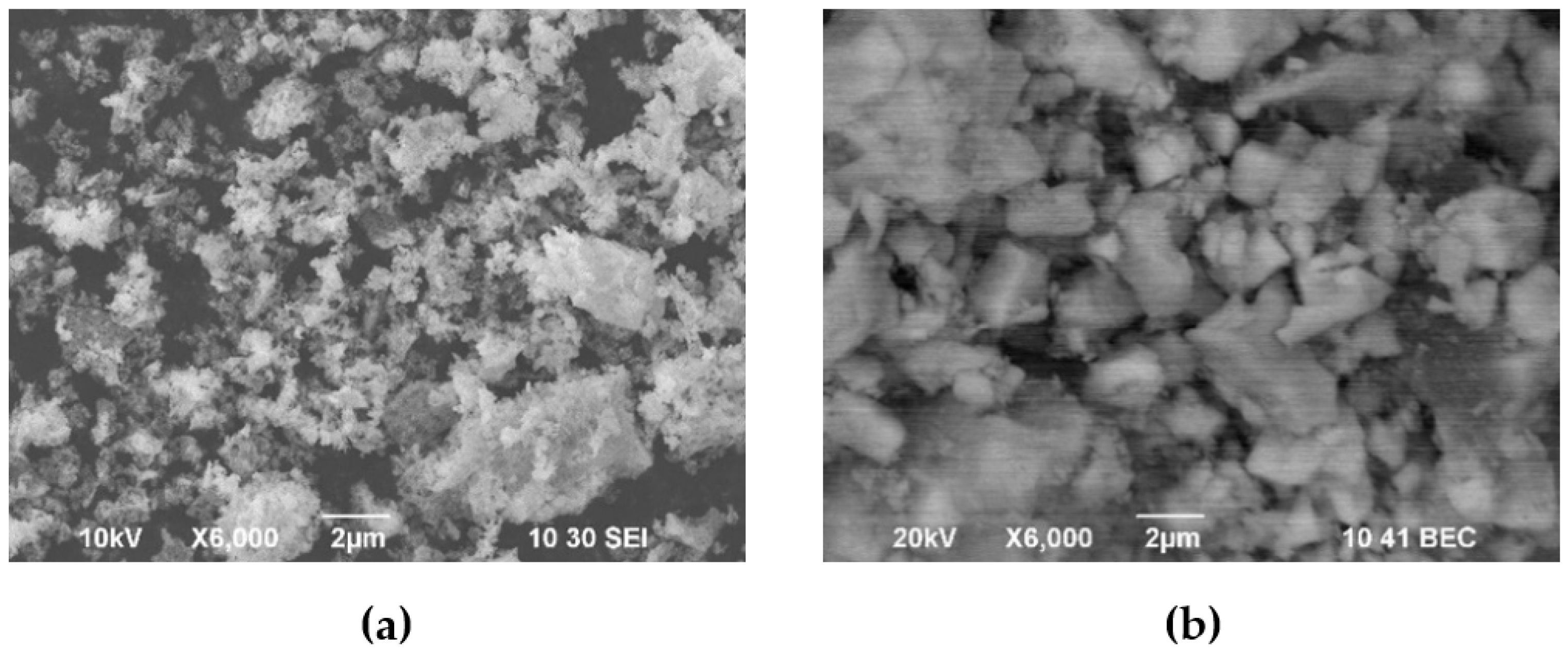 Membranes 13 00484 g001 Membranes 13 00484 g001