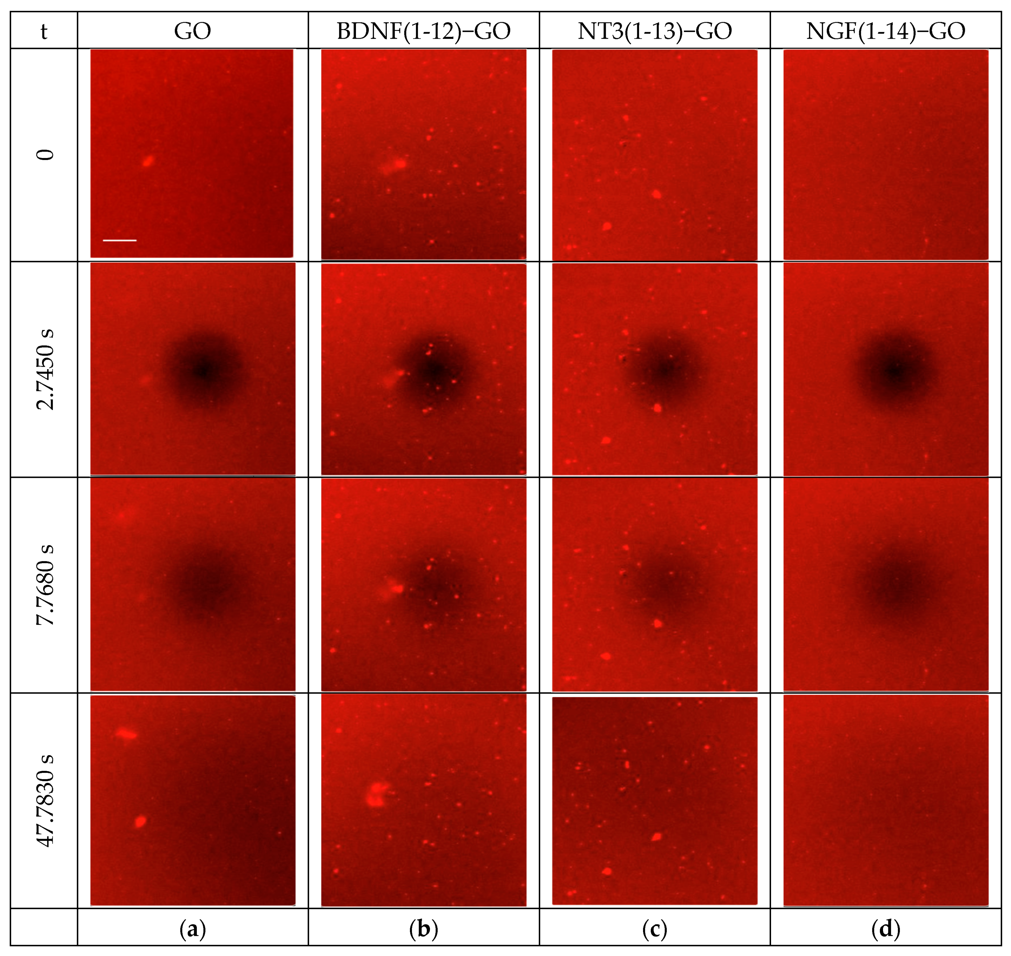 Membranes 13 00489 g004 Membranes 13 00489 g004