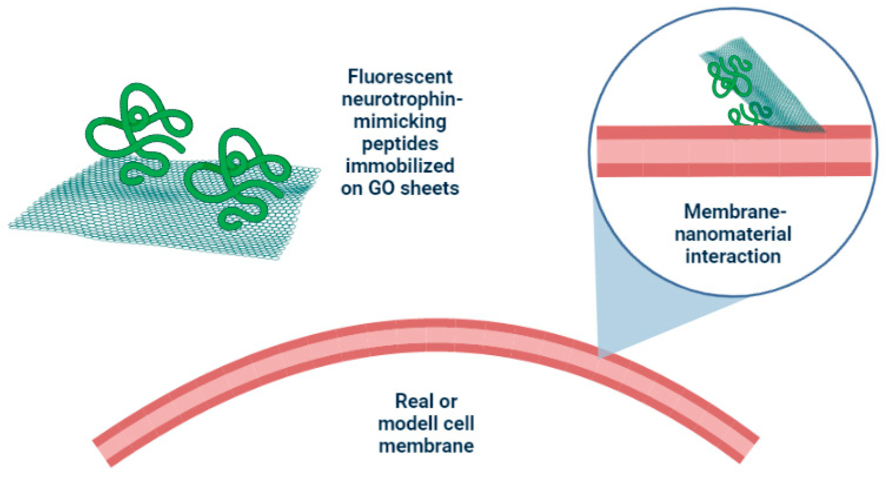 Membranes 13 00489 sch001 Membranes 13 00489 sch001