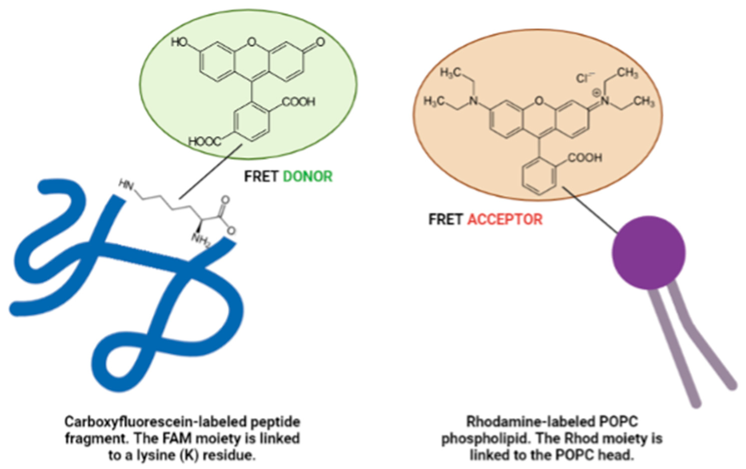 Membranes 13 00489 sch002 Membranes 13 00489 sch002