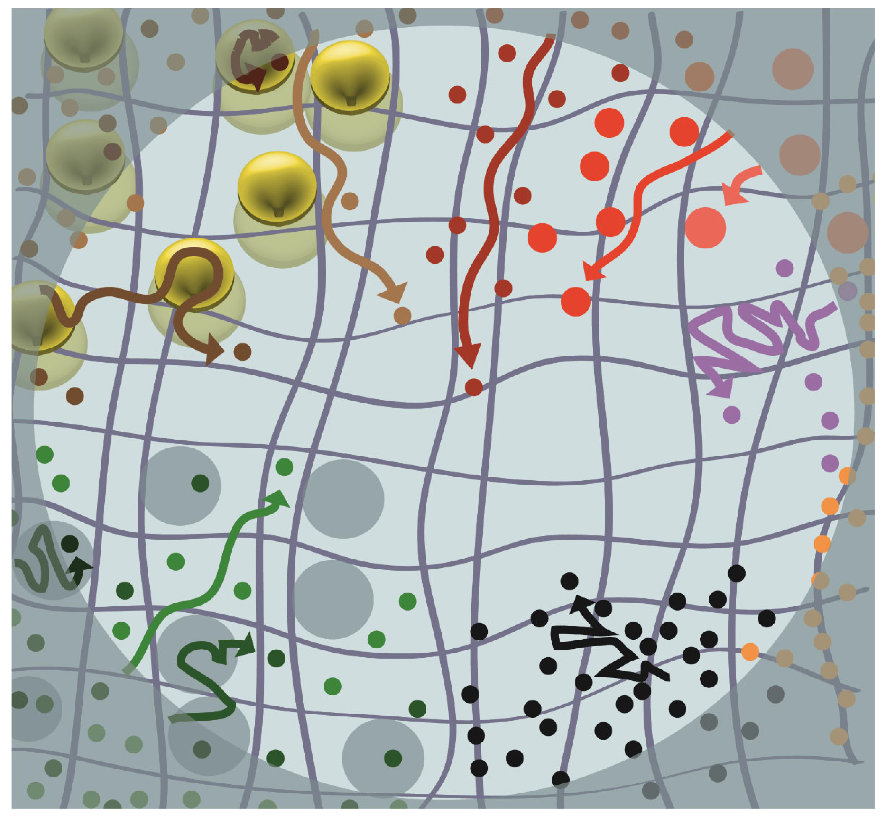 Membranes 13 00492 g002 Membranes 13 00492 g002