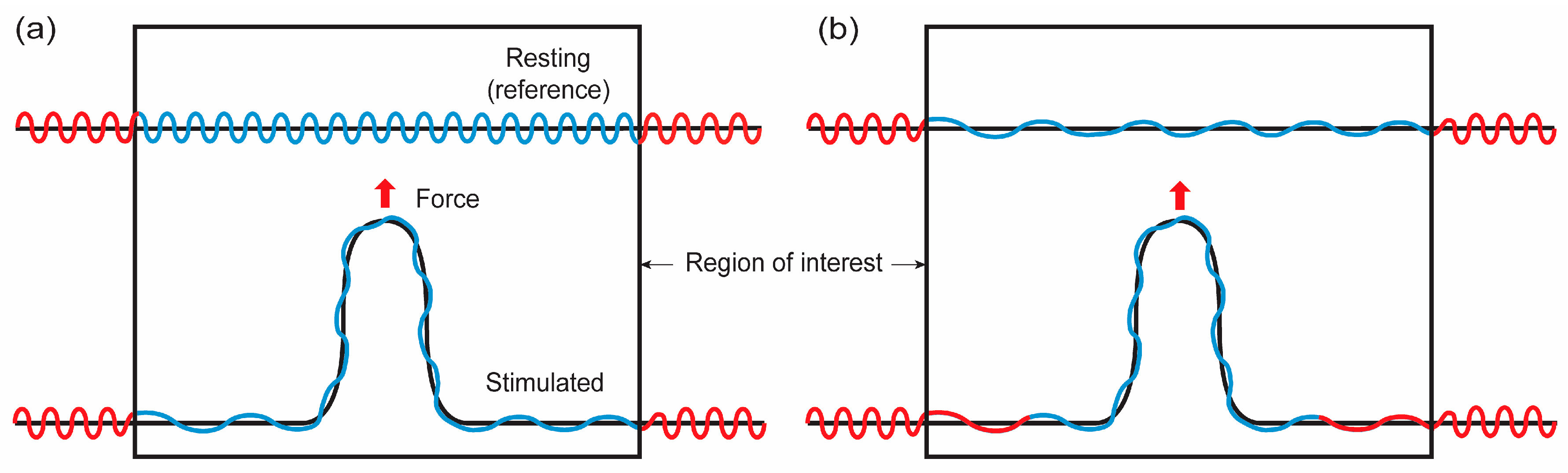 Membranes 13 00493 g004