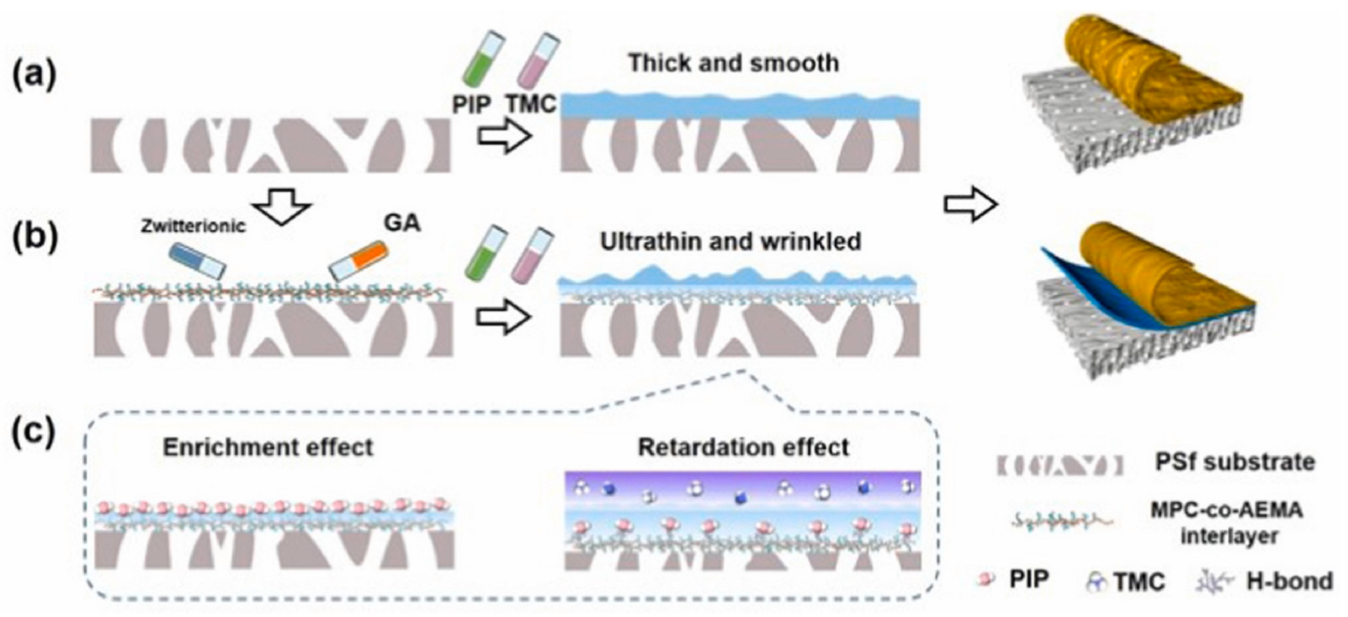 Membranes 13 00497 g001 Membranes 13 00497 g001