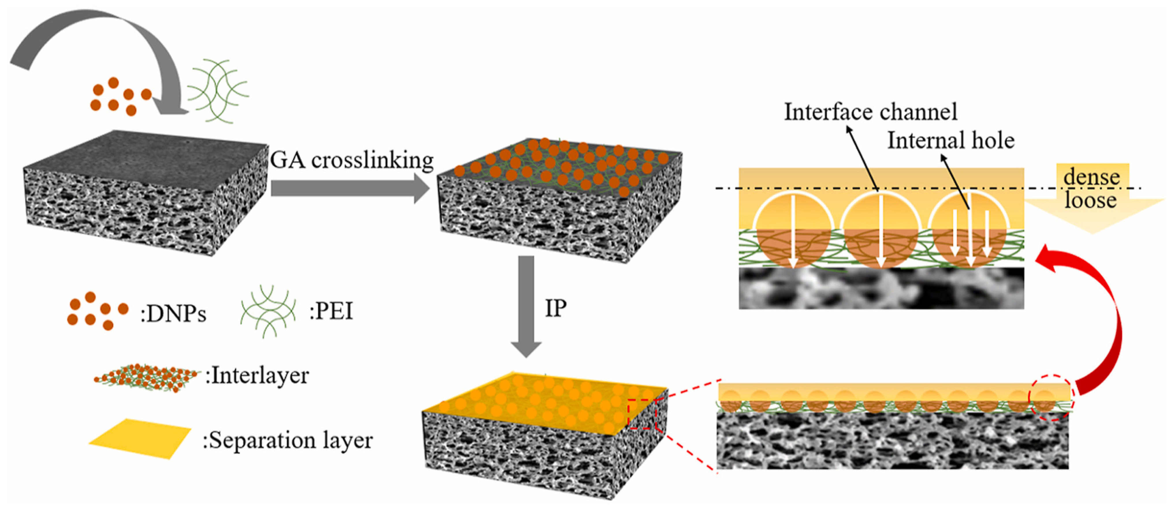 Membranes 13 00497 g002 Membranes 13 00497 g002