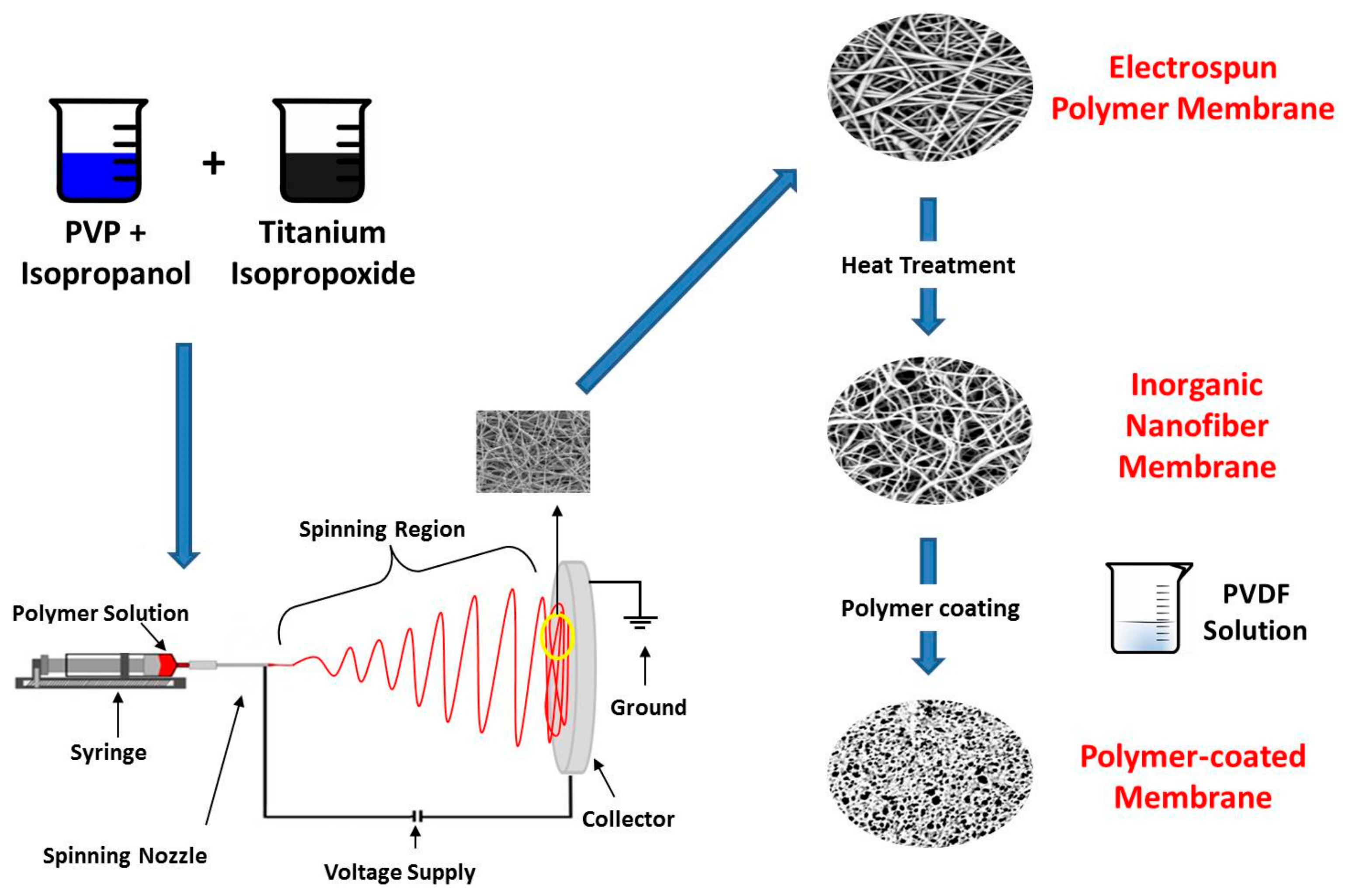 Membranes 13 00499 g001 Membranes 13 00499 g001
