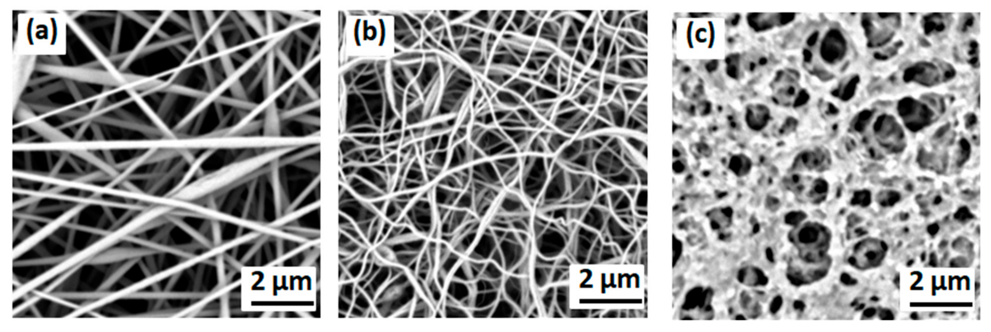 Membranes 13 00499 g002 Membranes 13 00499 g002