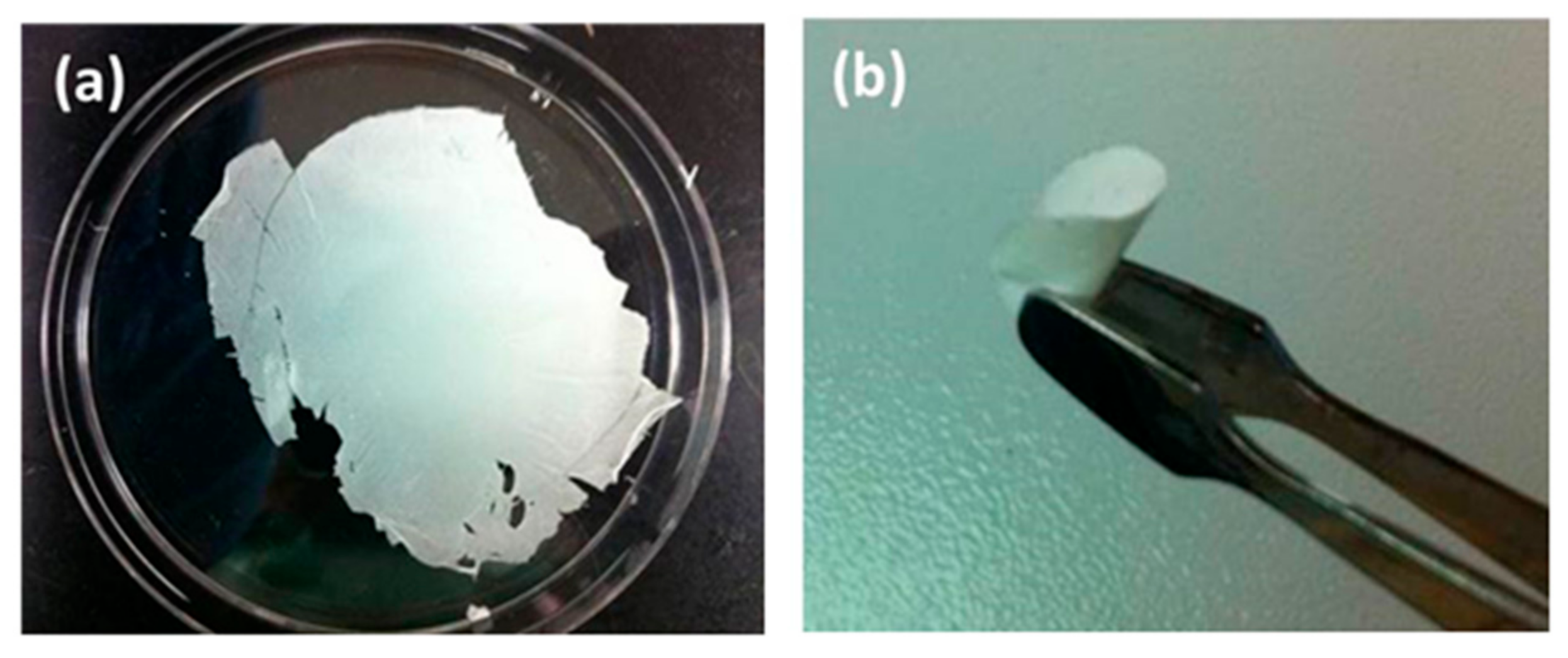 Membranes 13 00499 g003 Membranes 13 00499 g003