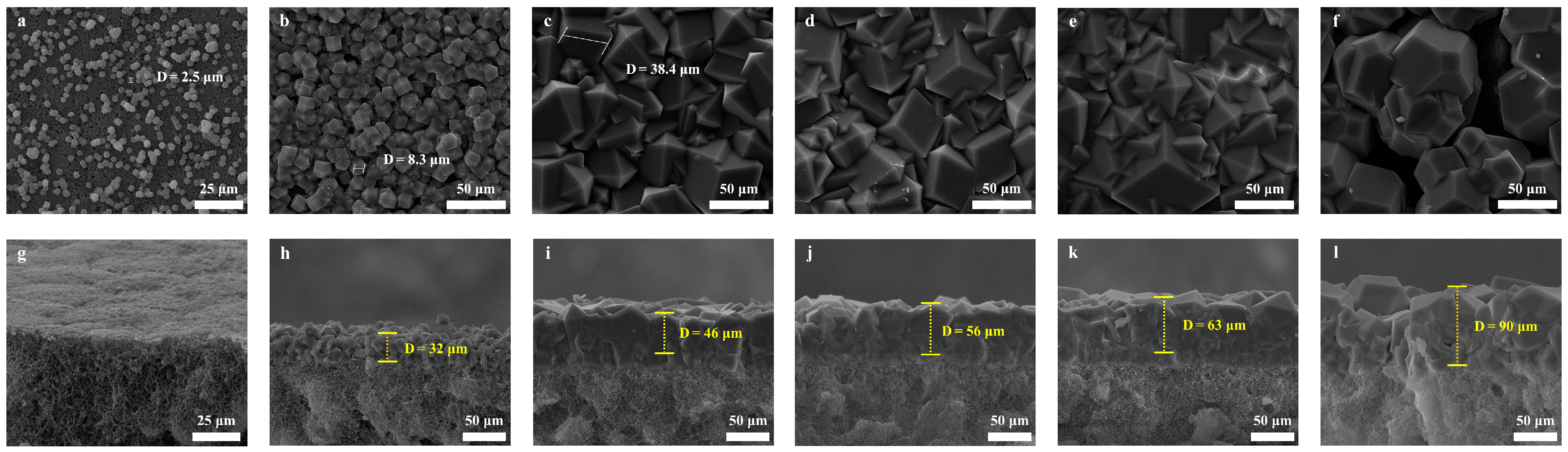 Membranes 13 00500 g003 Membranes 13 00500 g003